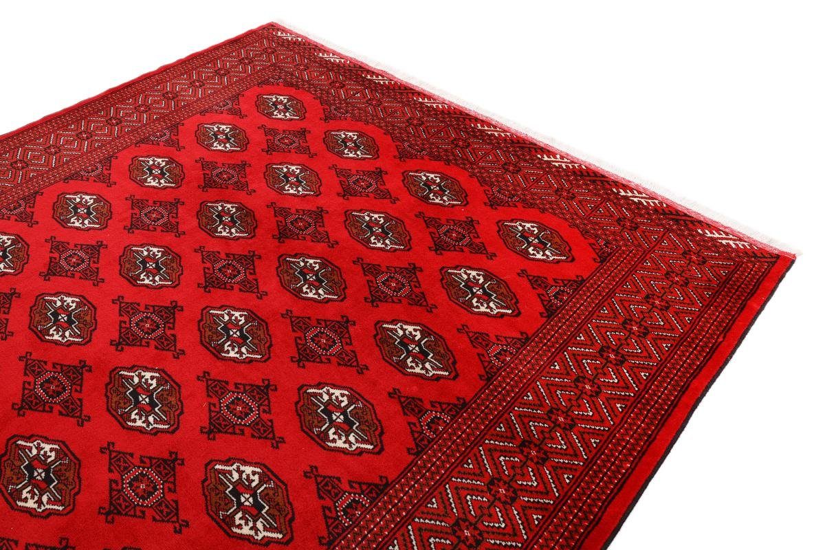 Orientteppich Turkaman 203x275 Handgeknüpfter rechteckig, / Nain Höhe: 6 Orientteppich Trading, Perserteppich, mm