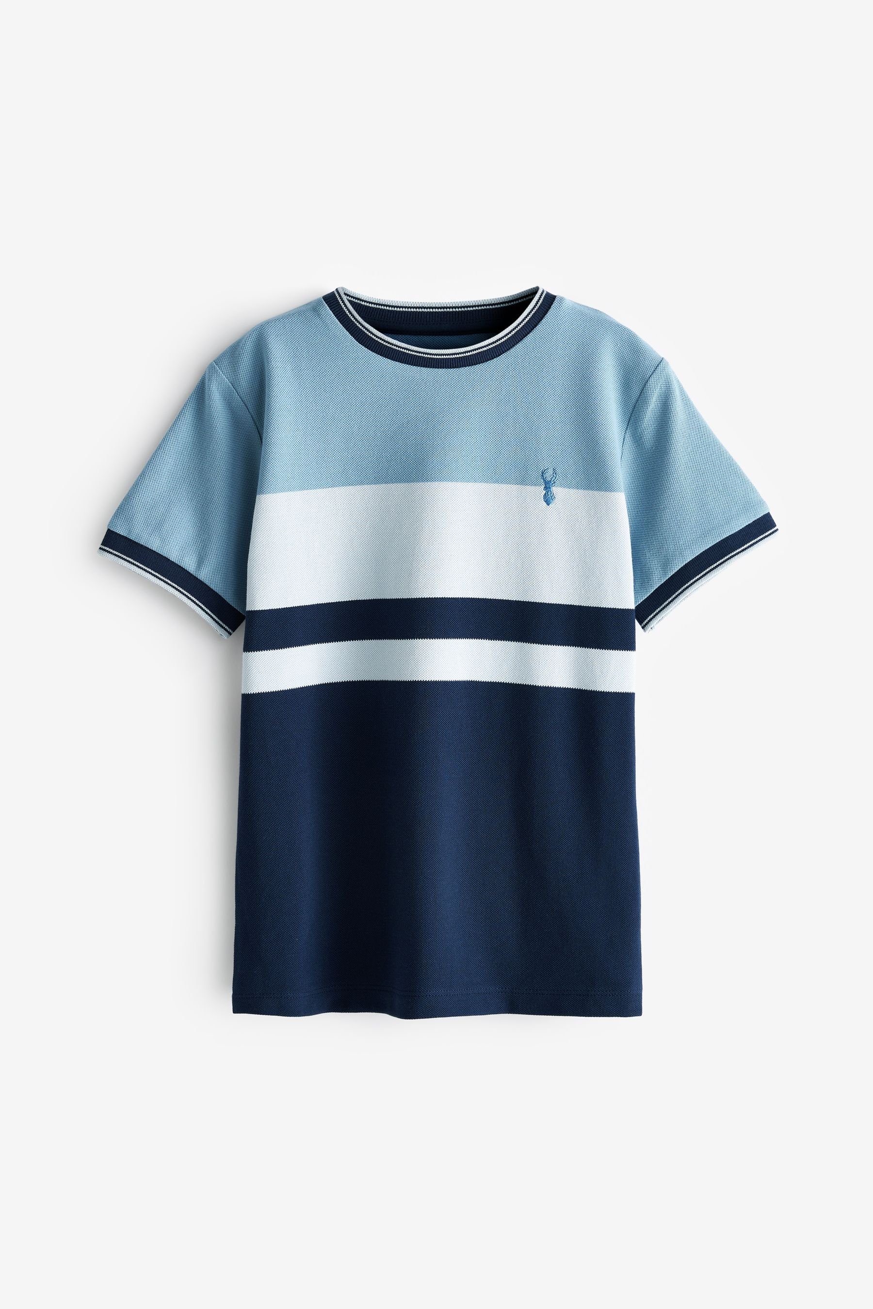 Next Blue/White T-Shirt Navy Blockfarben T-Shirt in (1-tlg)