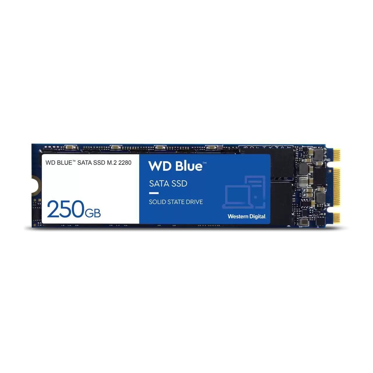 WD WDS250G2B0B interne SSD