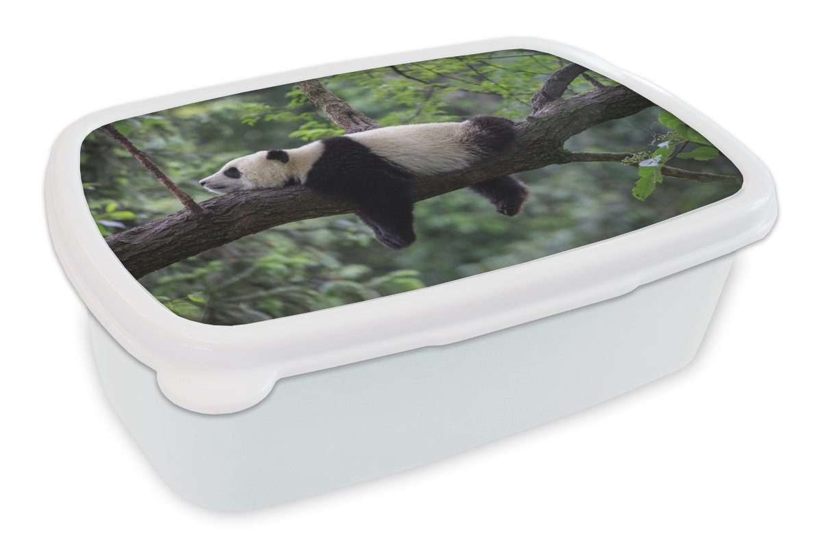 MuchoWow Lunchbox Panda - Baum - Tiere - Natur, Kunststoff, (2-tlg), Brotbox für Kinder und Erwachsene, Brotdose, für Jungs und Mädchen weiß