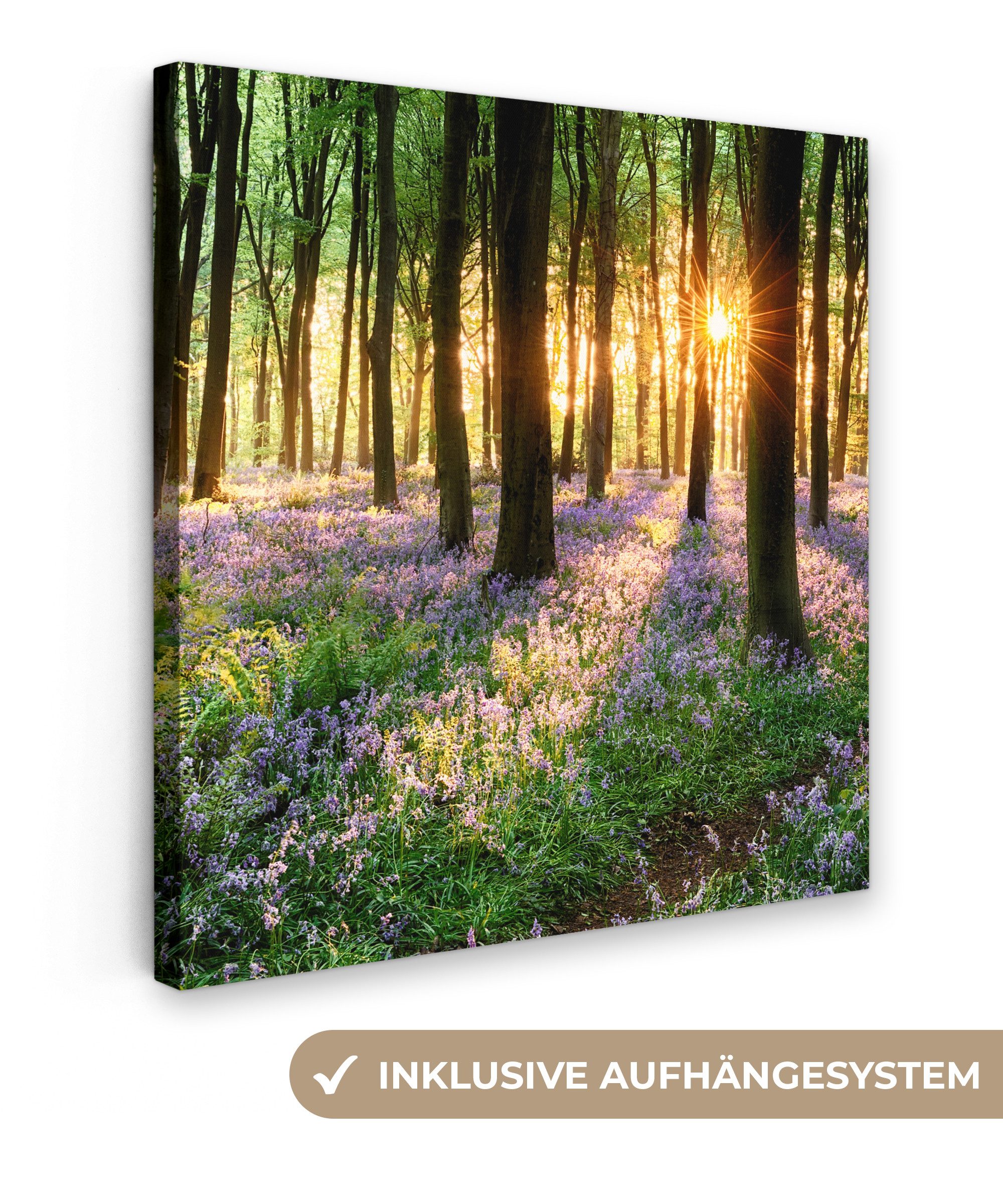OneMillionCanvasses® Leinwandbild Wald - Blumen - Lavendel - Sonne - Lila - Natur, Fotodruck (1 St), Wandbild, Deko Schlafzimmer Wohnzimmer Flur 20x20 cm
