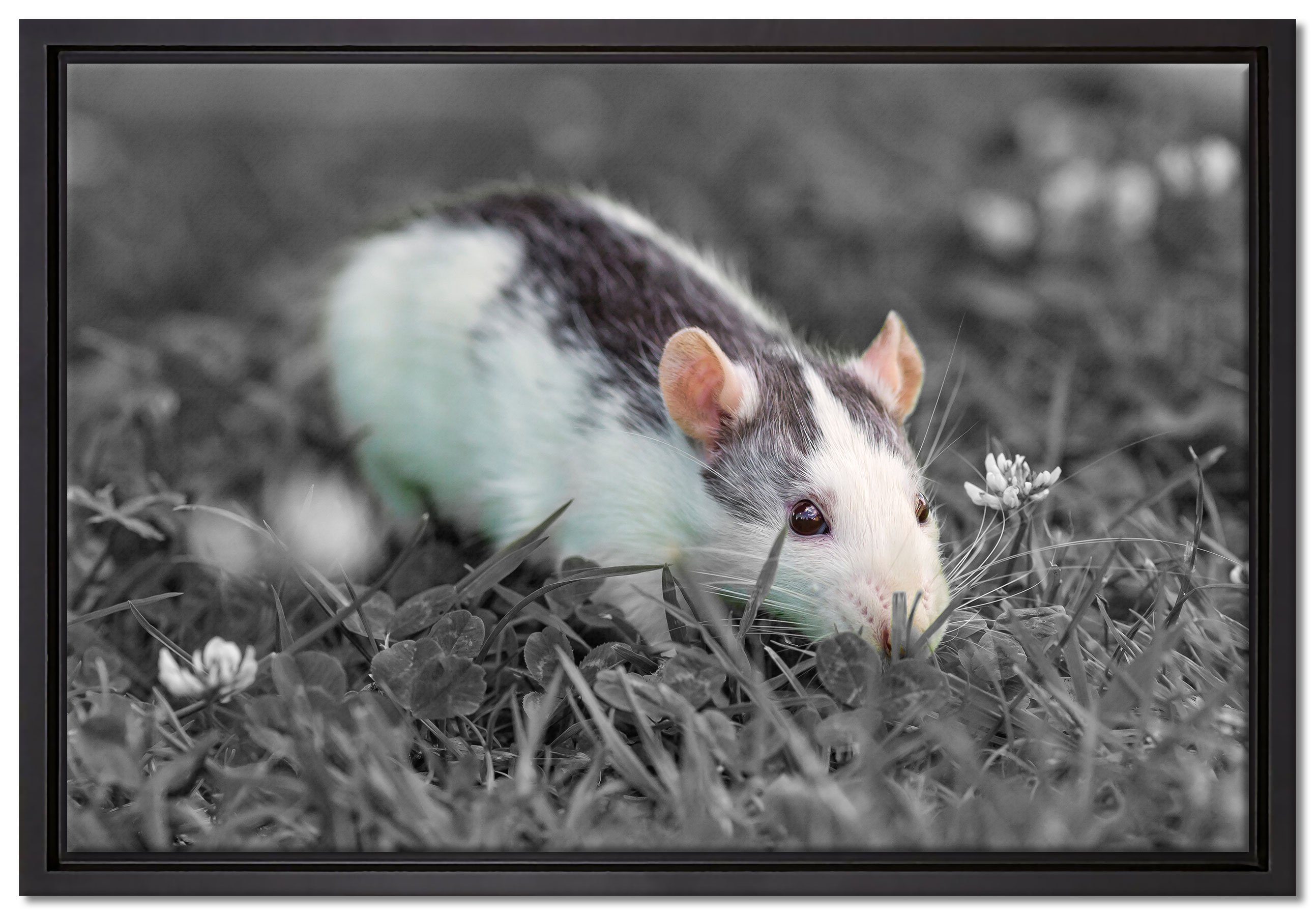 Pixxprint Leinwandbild kleine Maus auf Blumenwiese, Wanddekoration (1 St), Leinwandbild fertig bespannt, in einem Schattenfugen-Bilderrahmen gefasst, inkl. Zackenaufhänger