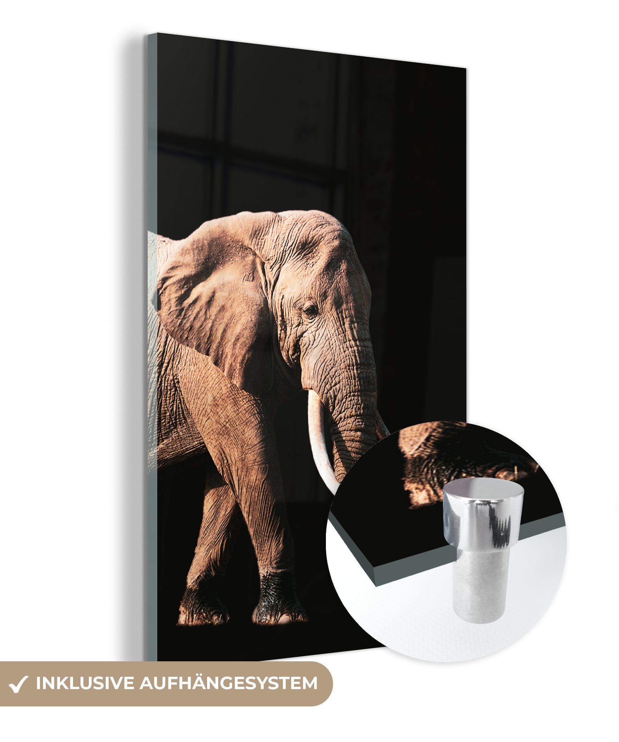 MuchoWow Acrylglasbild Elefant - Schwarz - Grau, (1 St), Glasbilder - Bilder auf Glas Wandbild - Foto auf Glas - Wanddekoration bunt