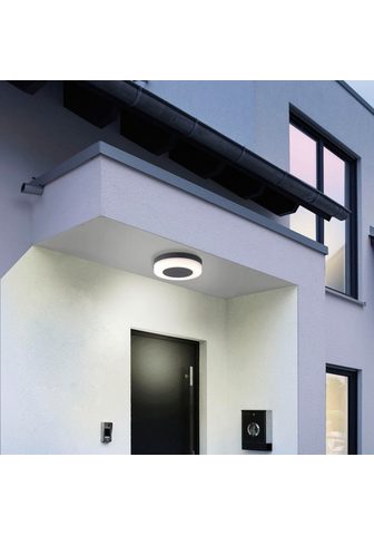 Paul Neuhaus LED Außen-Wandleuchte »LED Wand- ir lu...