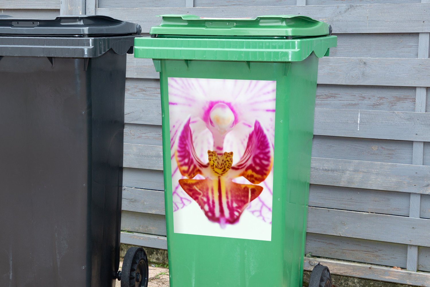 Sticker, (1 Abfalbehälter St), Detail Container, Mülleimer-aufkleber, Wandsticker MuchoWow Orchidee Mülltonne,