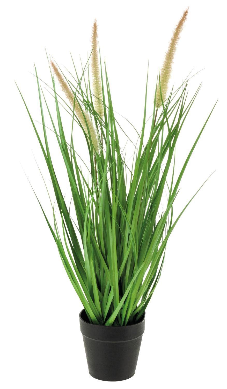 Kunstgras Kunst Lampenputzergras Ubon mit Rispen, Dekotopf, grün, 50cm Lampenputzergras, artplants, Höhe 50.0 cm