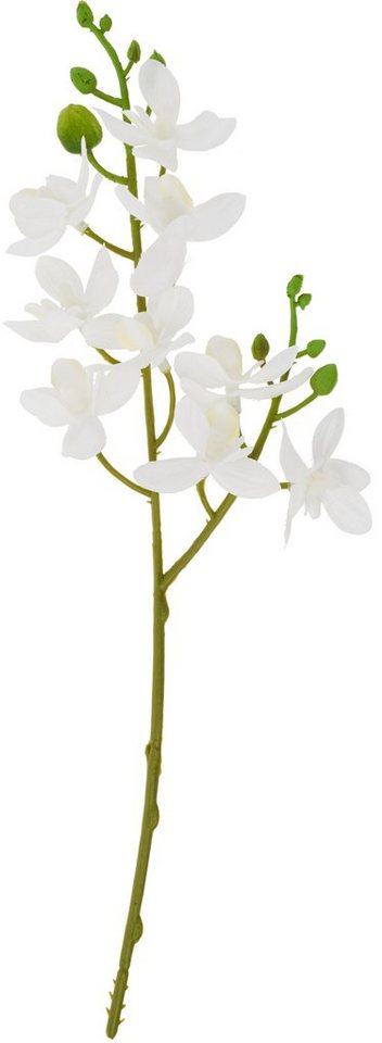 Kunstblume Mini Orchidee Phalaenopsis, DPI, 30 cm