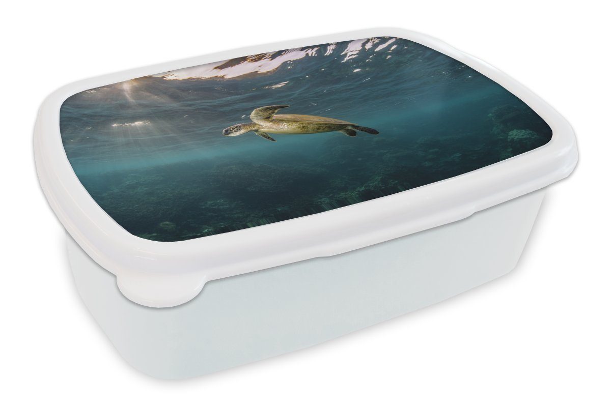 MuchoWow Lunchbox Schildkröte im klaren Wasser, Kunststoff, (2-tlg), Brotbox für Kinder und Erwachsene, Brotdose, für Jungs und Mädchen weiß