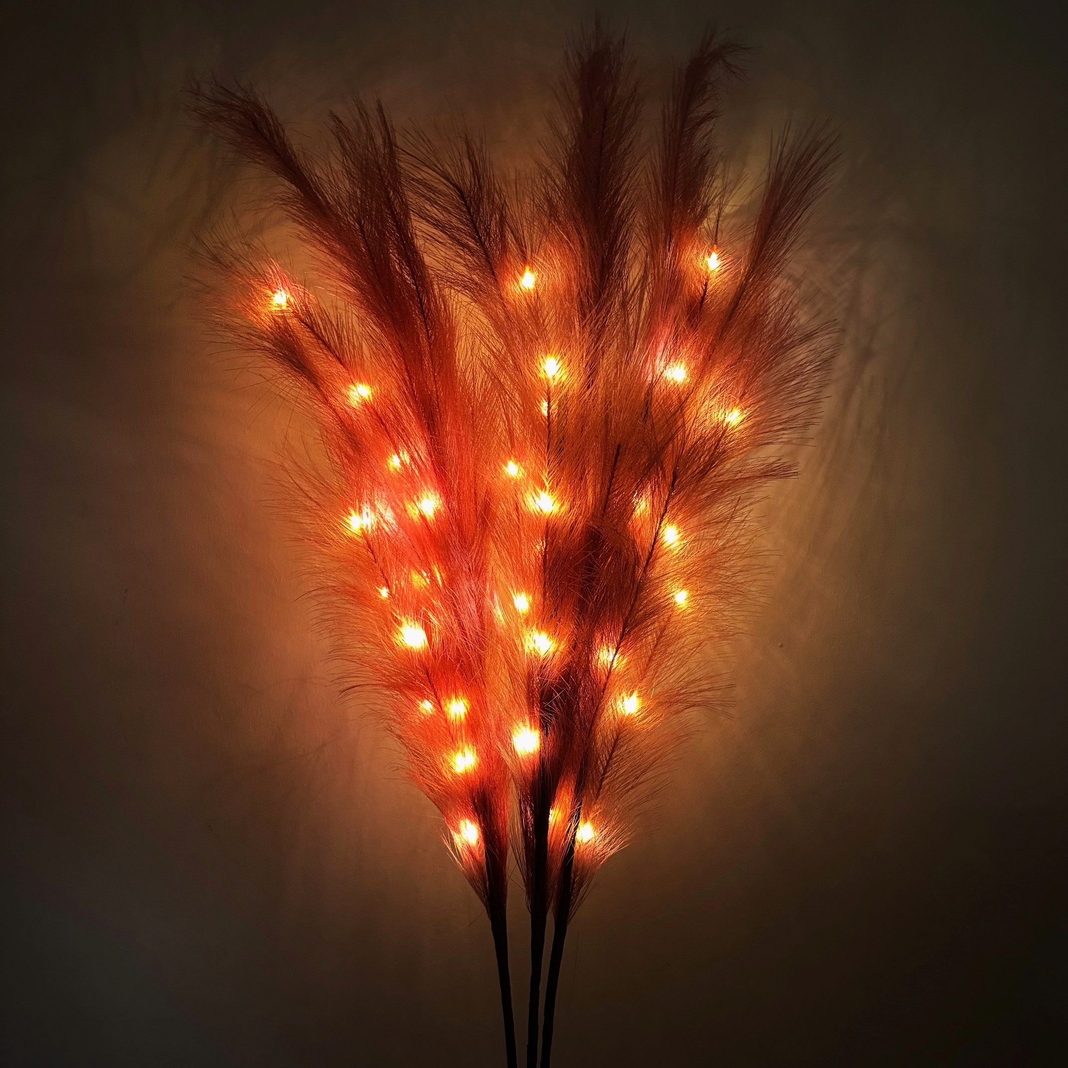 Kunstpflanze künstliches Pampasgras mit LED-Beleuchtung, Timer - 80 bis 115 günstig online kaufen