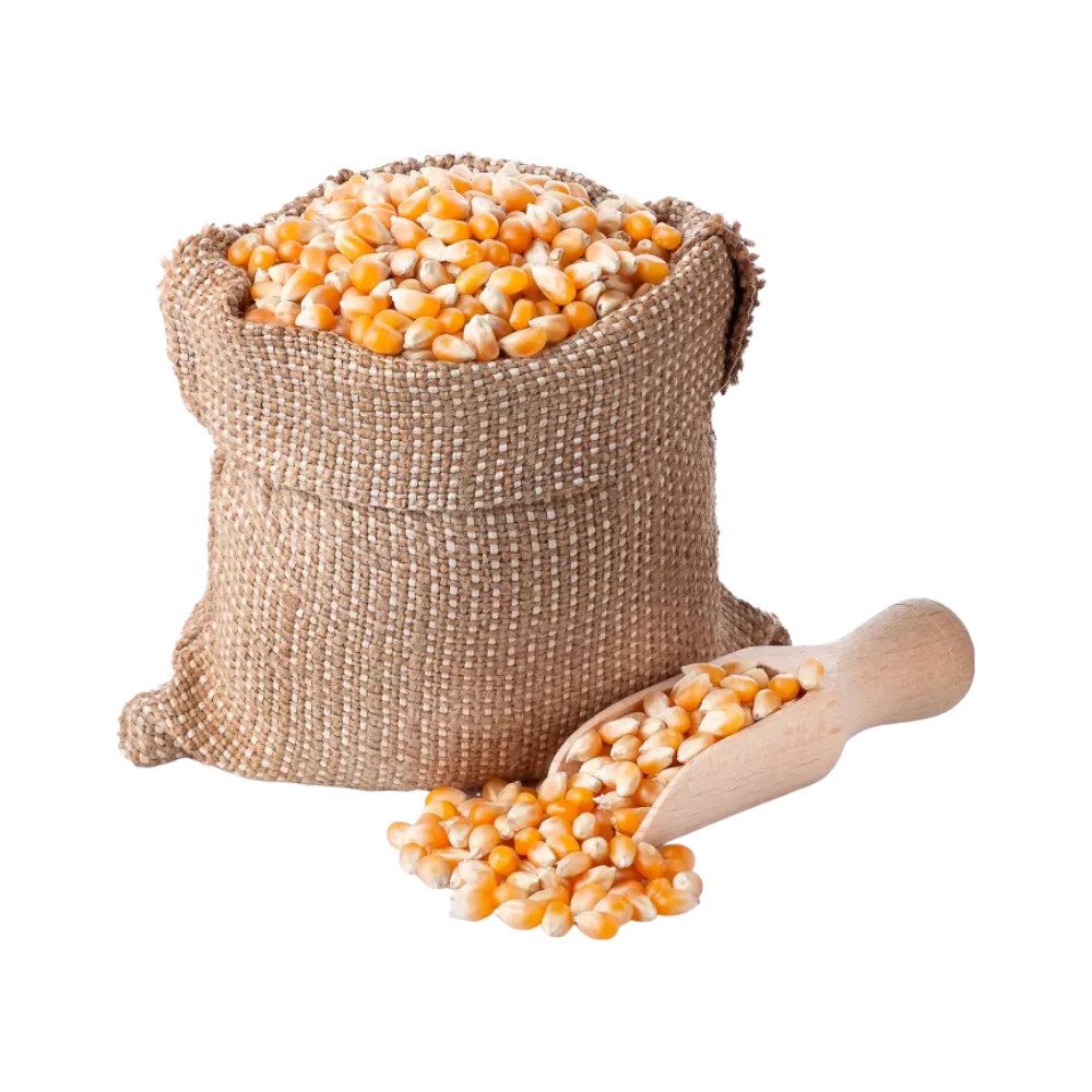 SOLIDE Futtermais gekörnt 25kg aus regionaler deutscher Ernte, für: Nager, Kleintiere, Hühner, Hasen, Masttiere