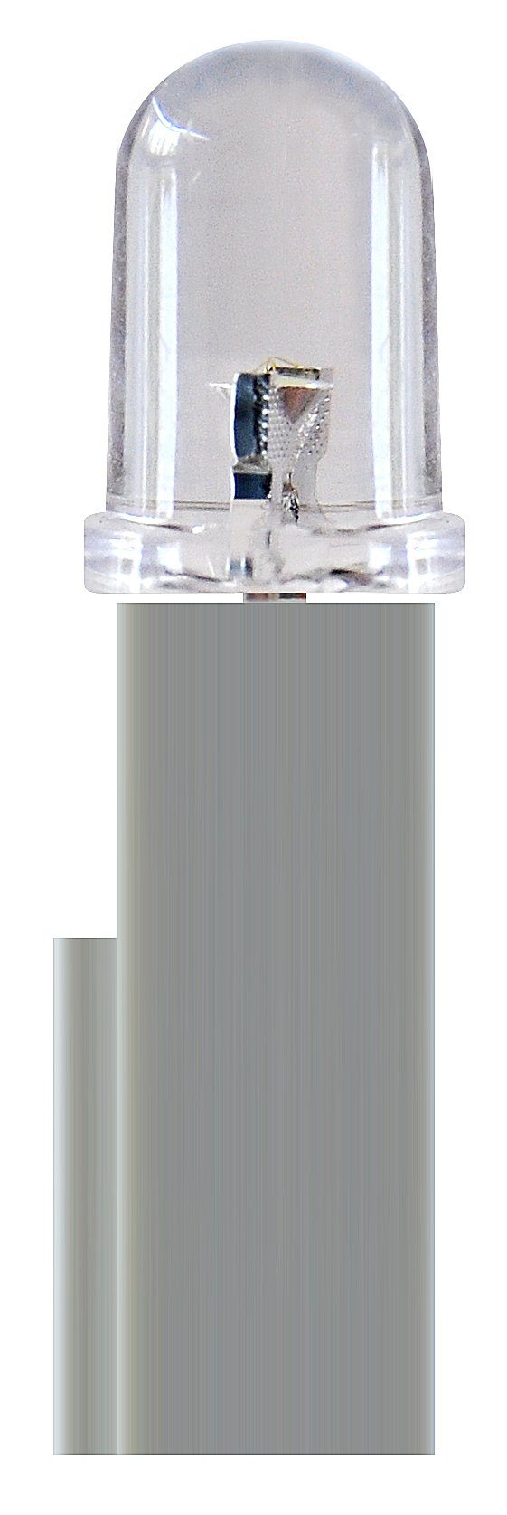 BRESSER BRESSER Leuchtmittel LED Stecksockel Auf- und Durchlichtmikroskop