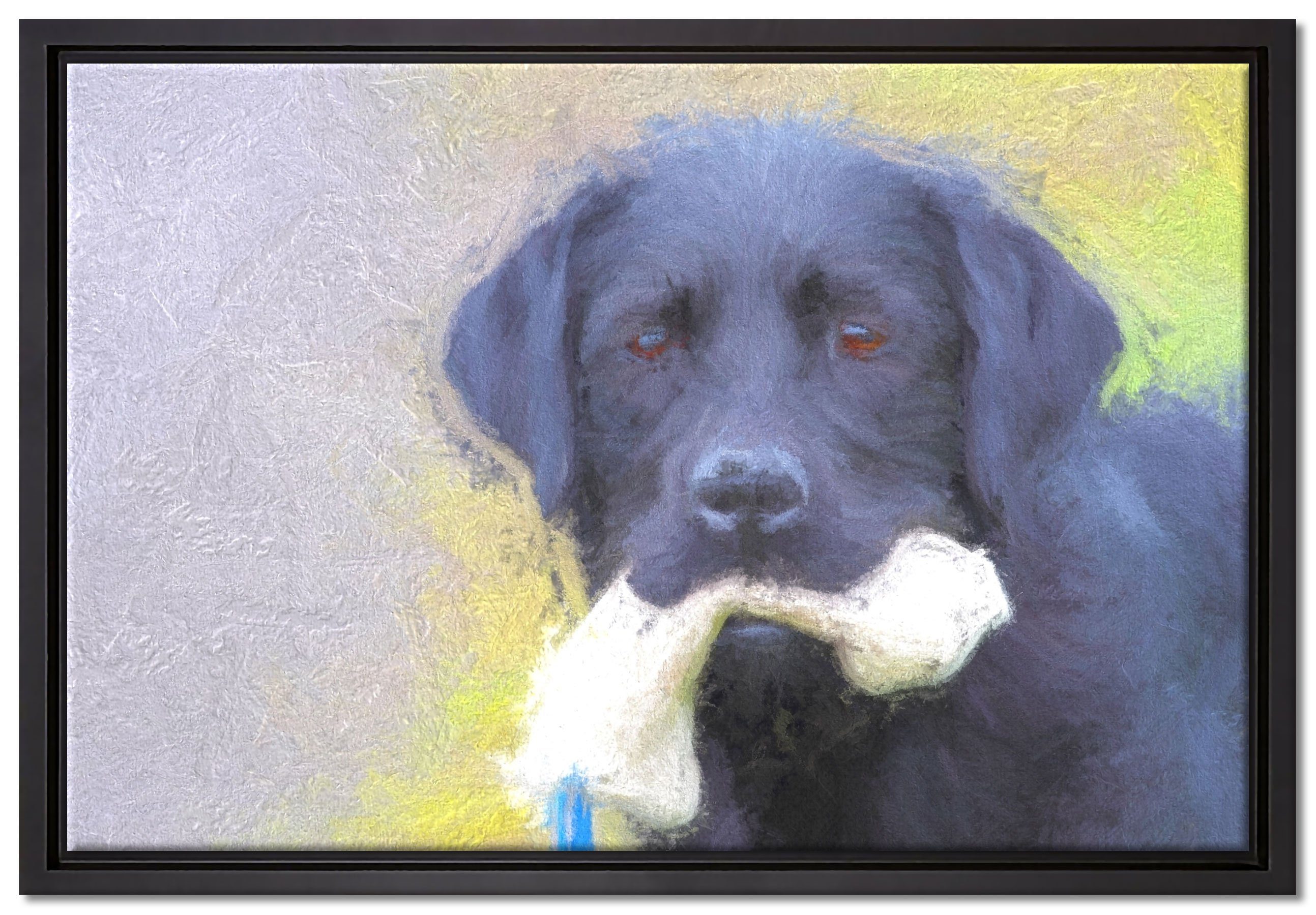 Pixxprint Leinwandbild schwarzer Labrador mit Spielzeug, Wanddekoration (1 St), Leinwandbild fertig bespannt, in einem Schattenfugen-Bilderrahmen gefasst, inkl. Zackenaufhänger
