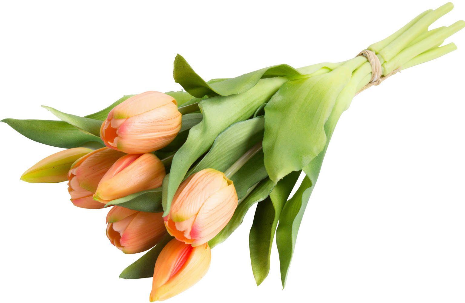 Kunstblume Willa Tulpe, Botanic-Haus, Höhe 32 cm, Tulpenbündel im 7er-Set günstig online kaufen