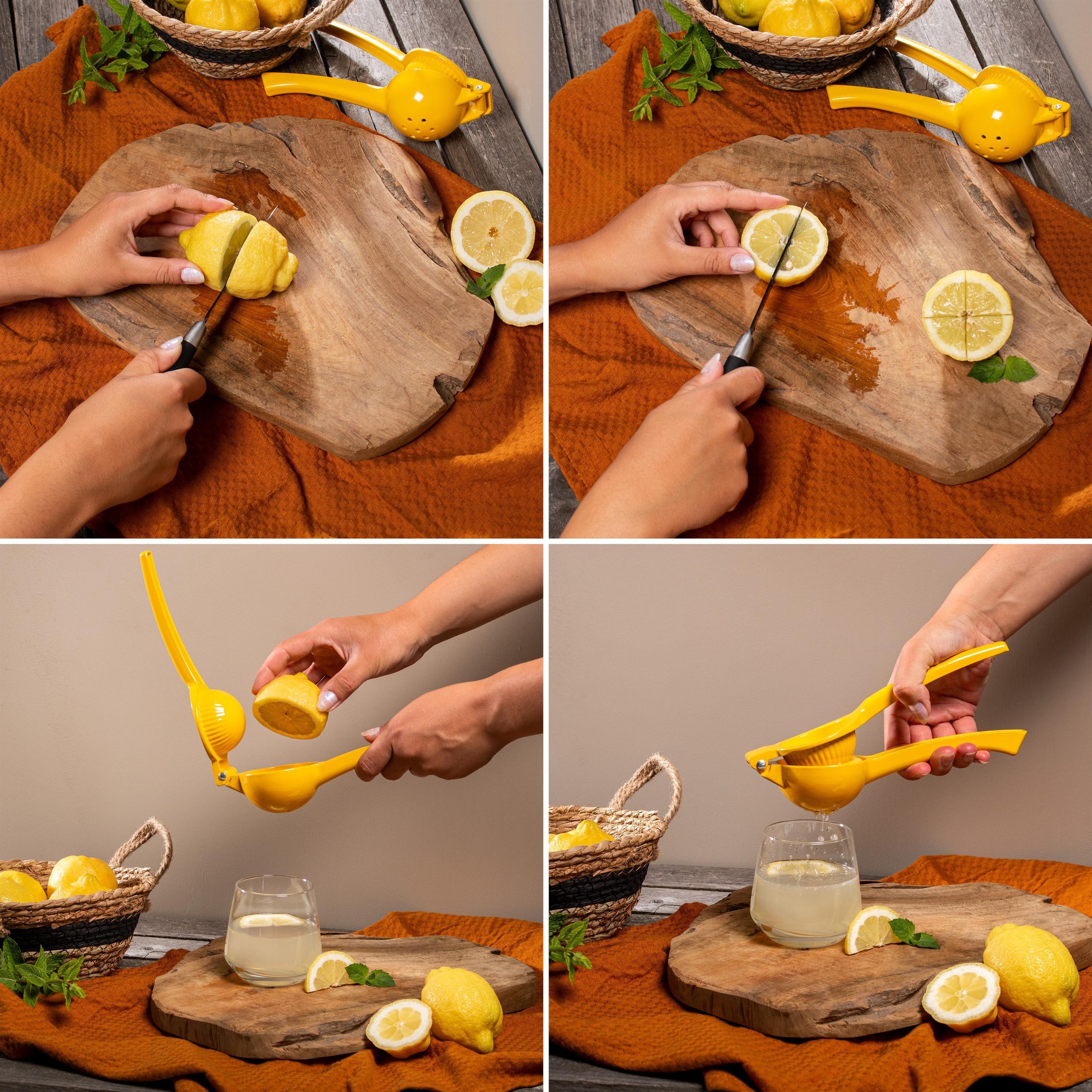 bremermann Zitruspresse Zitronenpresse / aus Zink / für bis zu ca. Ø 7 cm große Zitrusfrüchte