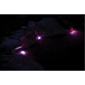 Pontec Teichpumpe Unterwasserbeleuchtung PondoStar LED RGB Set 3