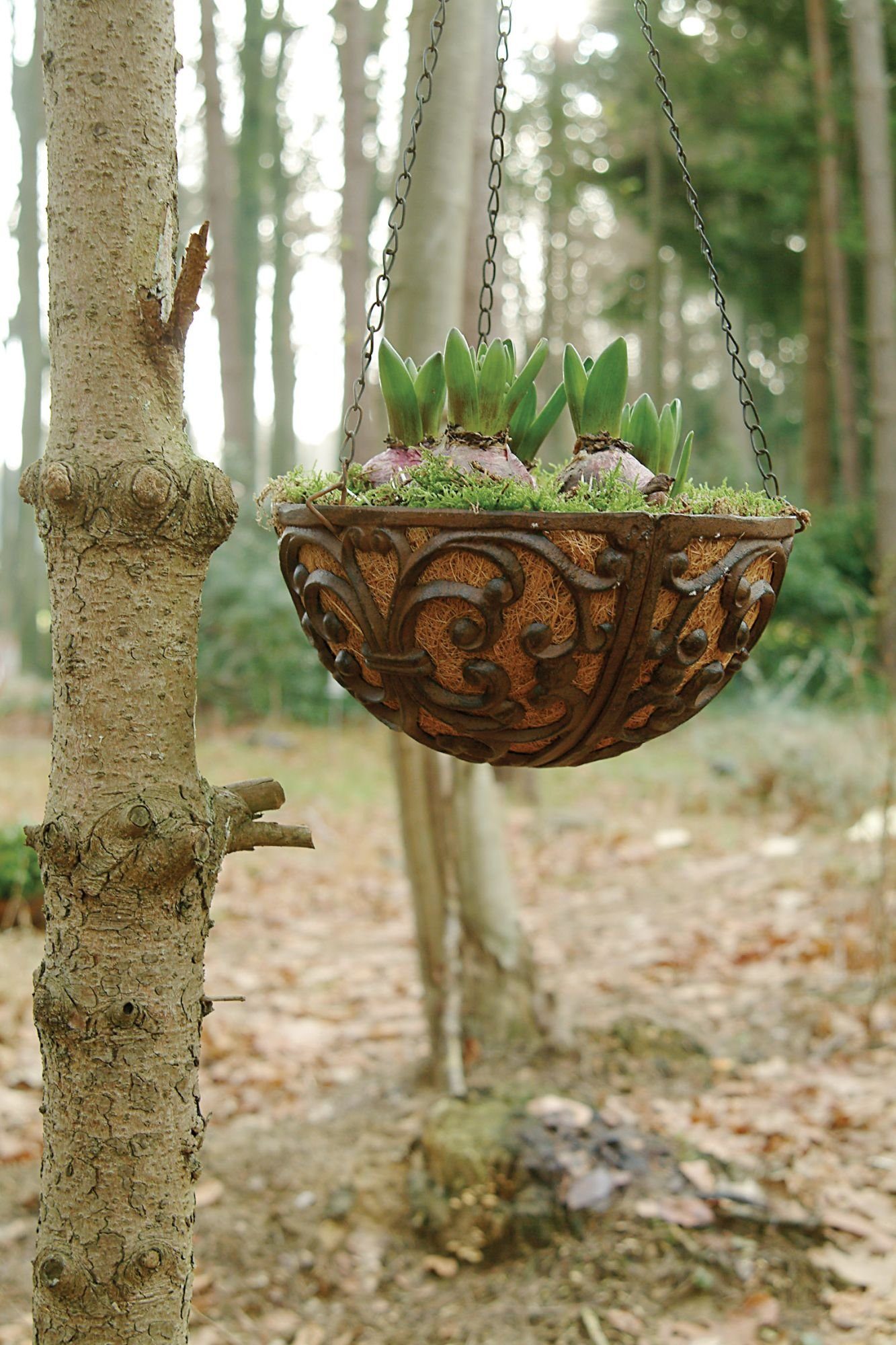 esschert design Wandhaken, (Set, 3-St), Blumenhaken günstig online kaufen