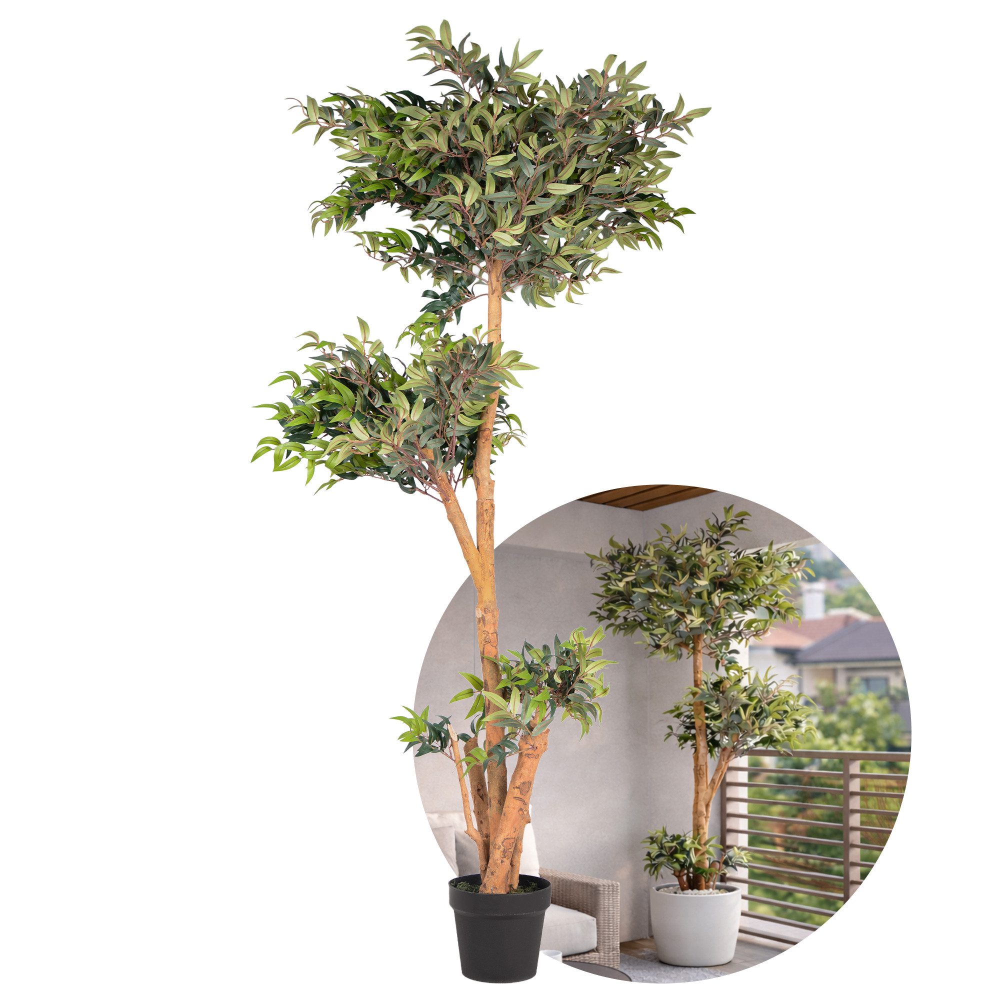 Kunstpflanze Kunstpflanze Ficus mit Echtholzstamm, UNUS HOME, Höhe 80 cm, Künstlicher Baum groß, Kunststoffpflanze – Bild 5 von 5
