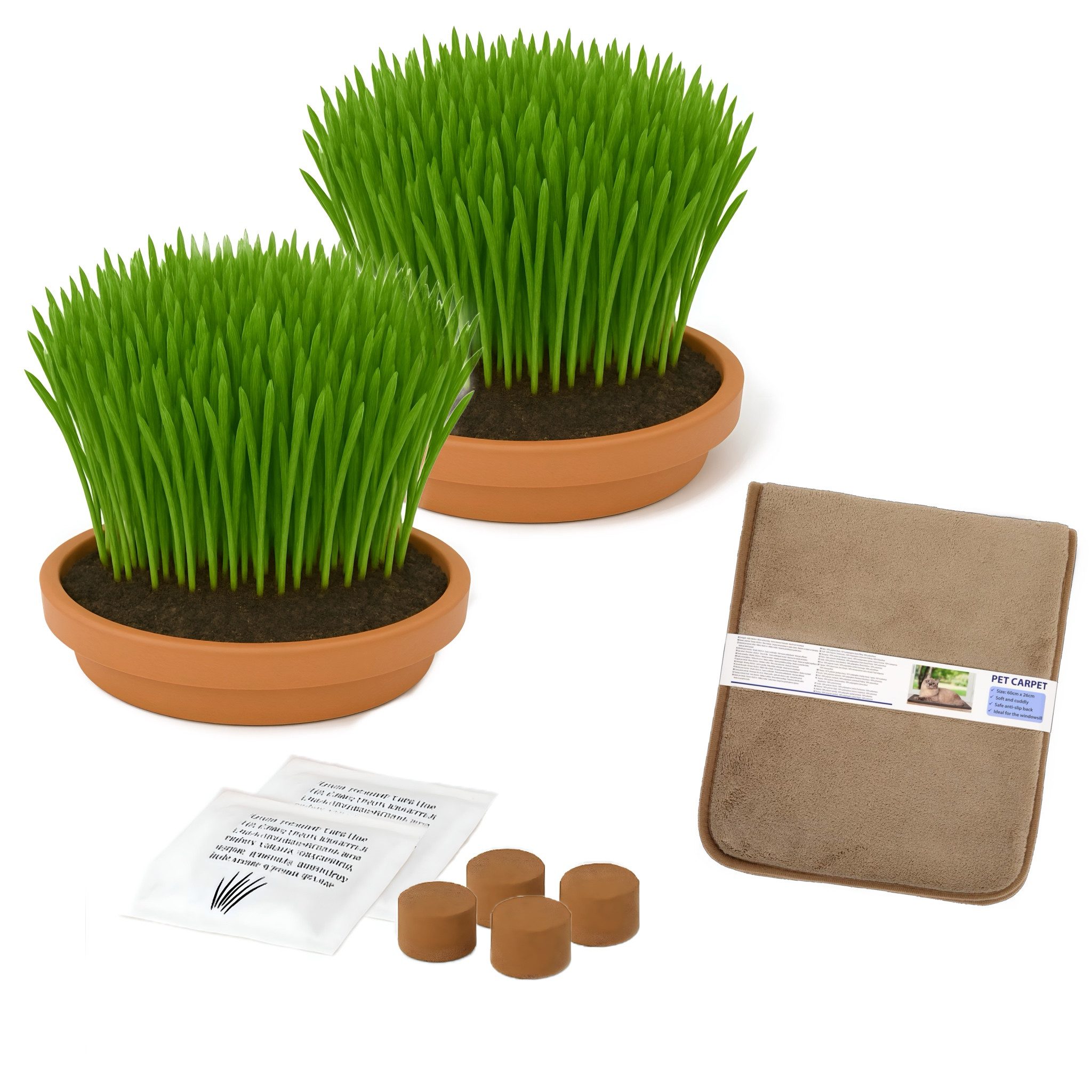 CULTZEN Katzen-Futterautomat Katzengras Anzuchtset, Keramikschalen, Fenster günstig online kaufen