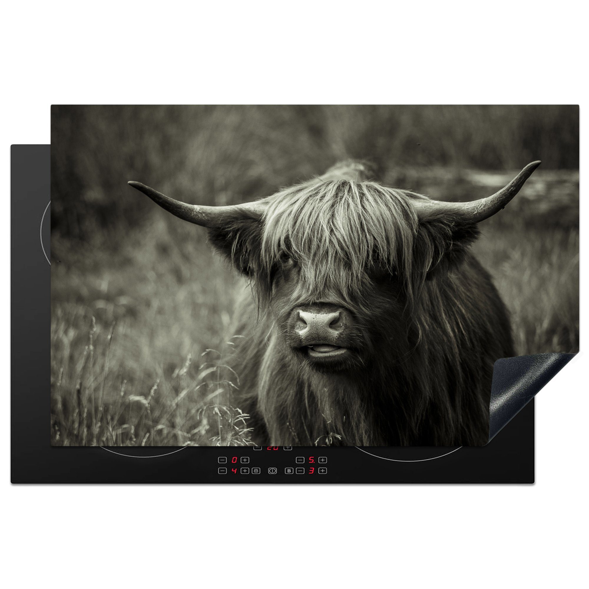 MuchoWow Herdblende-/Abdeckplatte Schottischer Highlander - Porträt - Schwarz - Weiß, Vinyl, (1 tlg), 81x52 cm, Induktionskochfeld Schutz für die küche, Ceranfeldabdeckung
