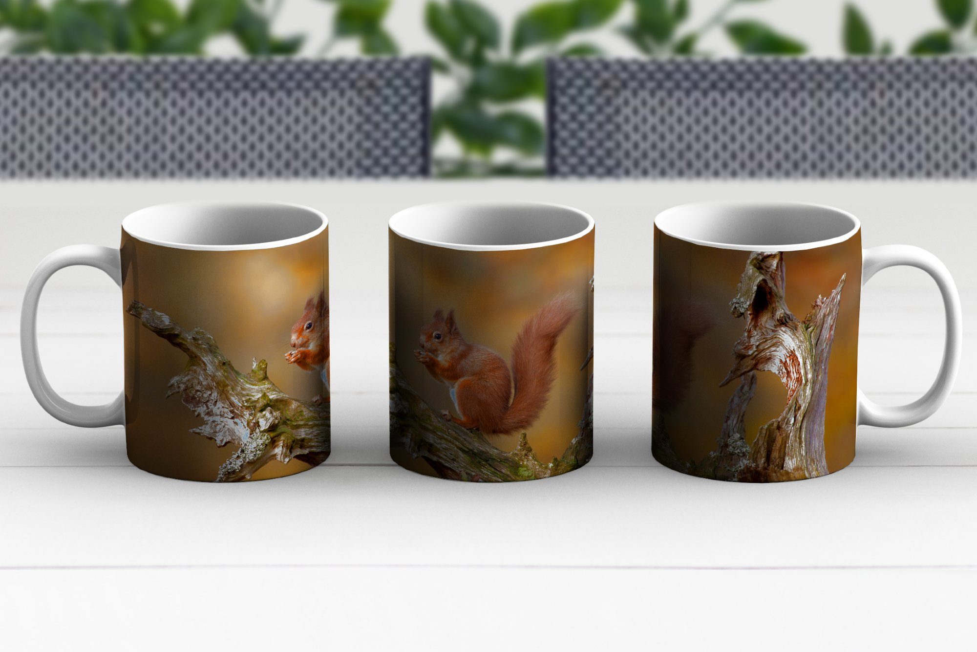 Teetasse, Tasse - Eichhörnchen Wald, - Geschenk Teetasse, MuchoWow Becher, Baumstamm Kaffeetassen, Keramik,