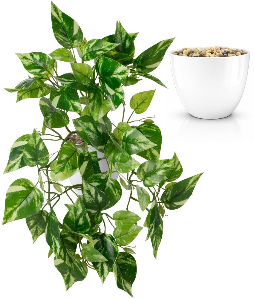 Kunstpflanze Künstliche Hängepflanzen im bruchfesten Topf, Hängepflanze künstlich Efeu, Monstera, Philodendron, Calathea, Pfeilblatt, Mosaik- & Zebrapflanze, PASCH, Bruchfester weißer Kunststofftopf