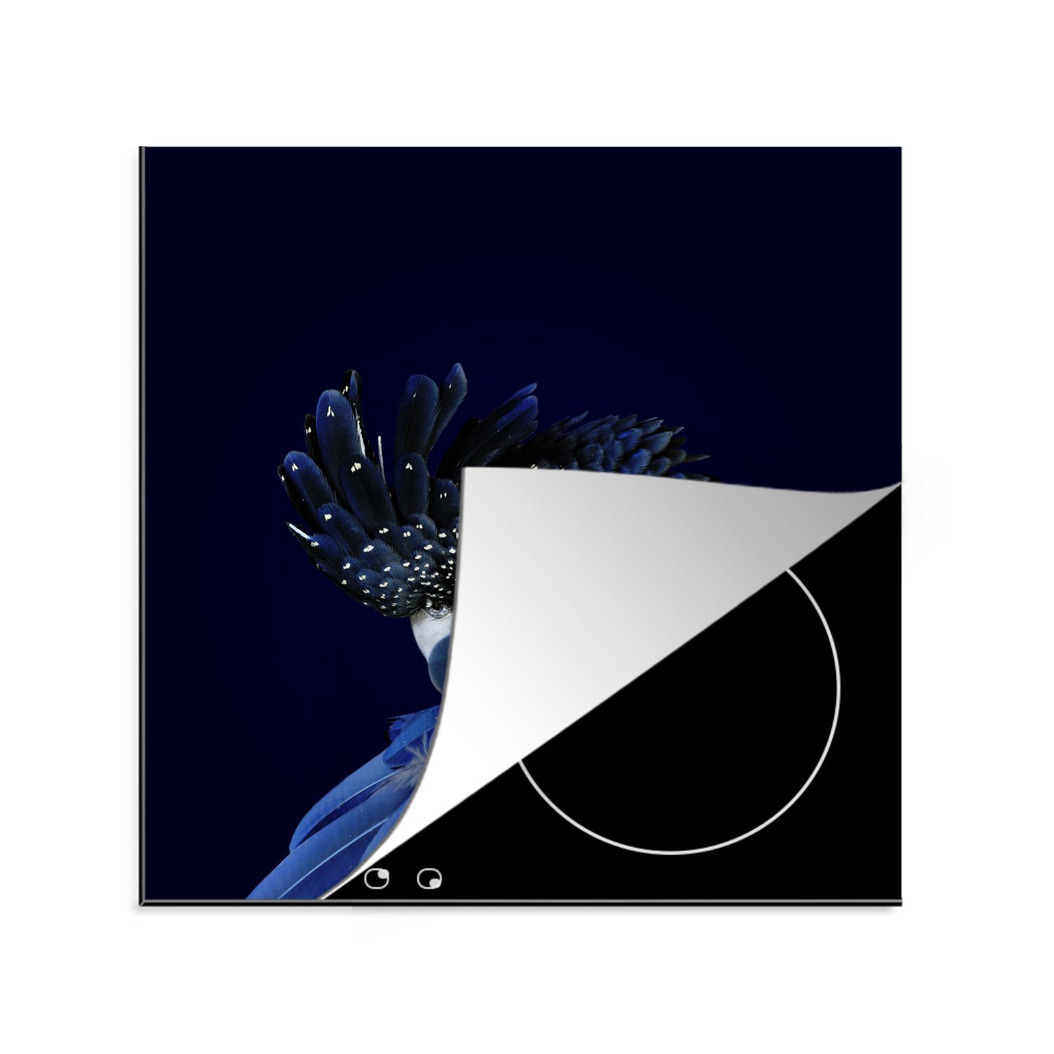 MuchoWow Herdblende-/Abdeckplatte Blauer Kakadu mit dunklem Hintergrund, Vinyl, (1 tlg), 78x78 cm, Ceranfeldabdeckung, Arbeitsplatte für küche