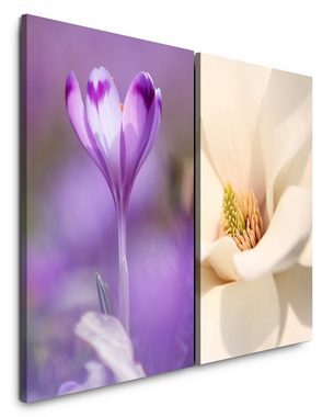 Sinus Art Leinwandbild 2 Bilder je 60x90cm Safran Krokus Frühling Weiße Tulpe Blumen Nahaufnahme Harmonisch