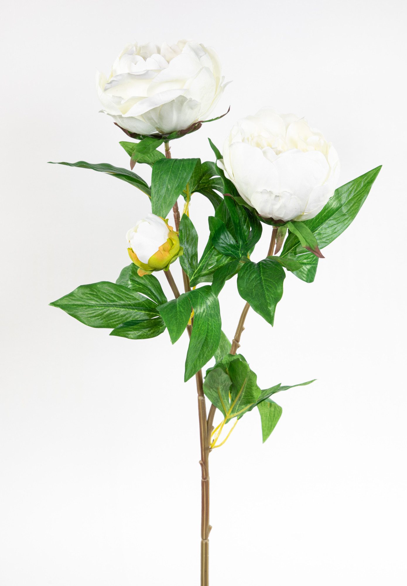 Kunstblume Pfingstrose Nature 68cm GA Seidenblumen künstliche Blumen Päonie, Seidenblumen Roß, Höhe 68 cm, Weiß