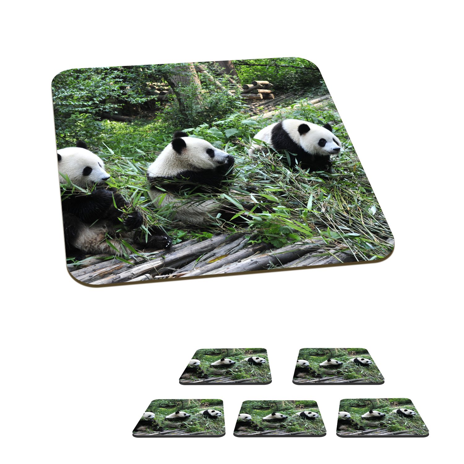 MuchoWow Glasuntersetzer Panda - Natur - Bambus, Zubehör für Gläser, 6-tlg., Glasuntersetzer, Tischuntersetzer, Korkuntersetzer, Untersetzer, Tasse