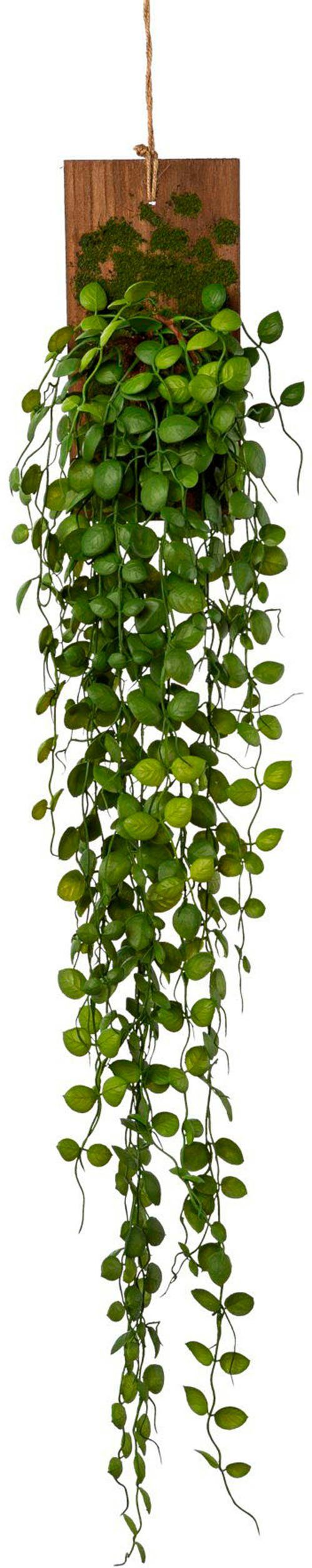 Kunstranke Ranke Mühlenbeckia auf Holz, Creativ green, Höhe 123 cm ...