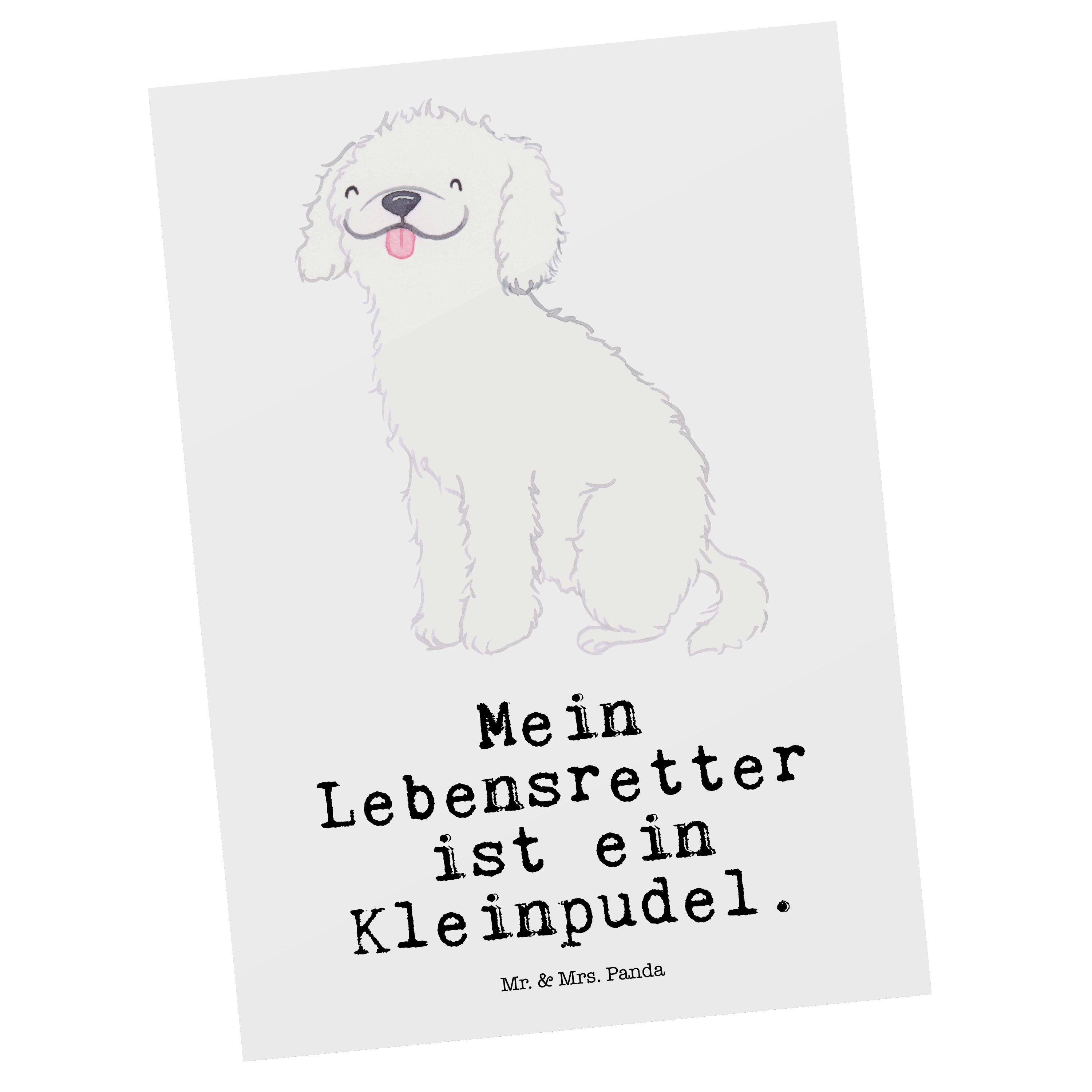 Mr. & Mrs. Panda Postkarte Kleinpudel Lebensretter - Weiß - Geschenk, Karte, Schenken, Rassehund