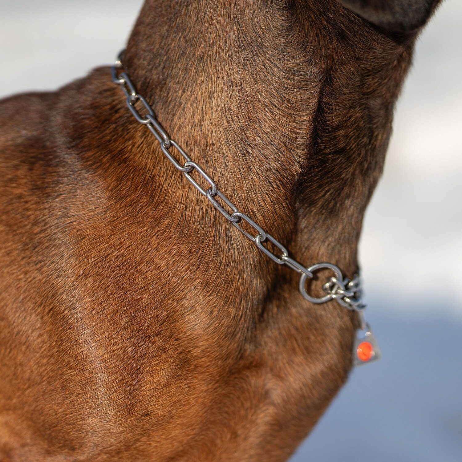 SPRENGER Hunde-Halsband Halskette mit Zugbegrenzung – lange Glieder