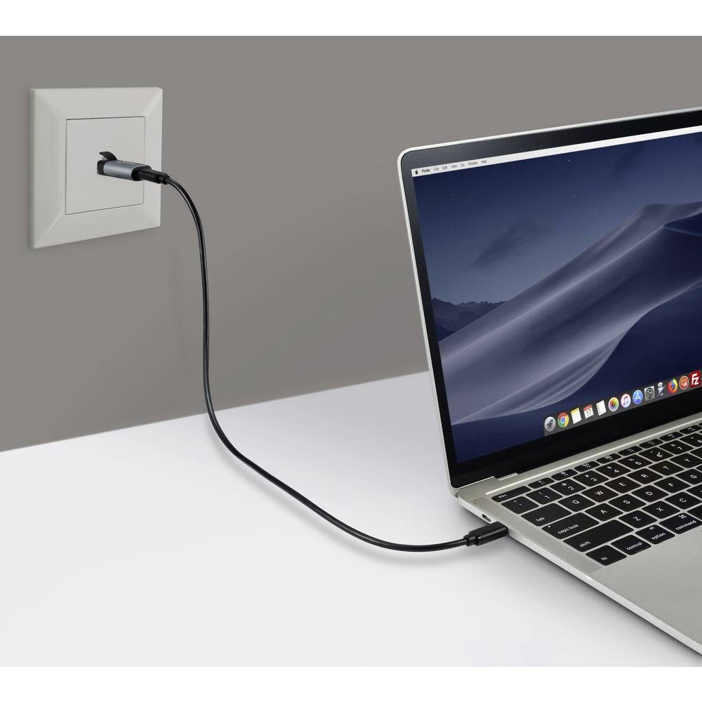 Renkforce Netzwerk Adapter RF-4883626 Netzwerk-Adapter