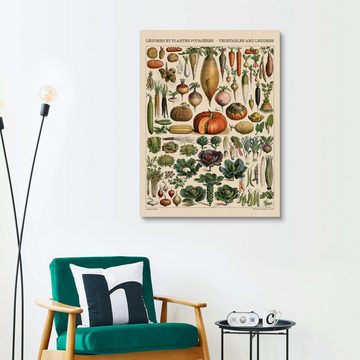 Posterlounge Holzbild Adolphe Millot, Gemüse und Hülsenfrüchte, Küche Vintage Illustration