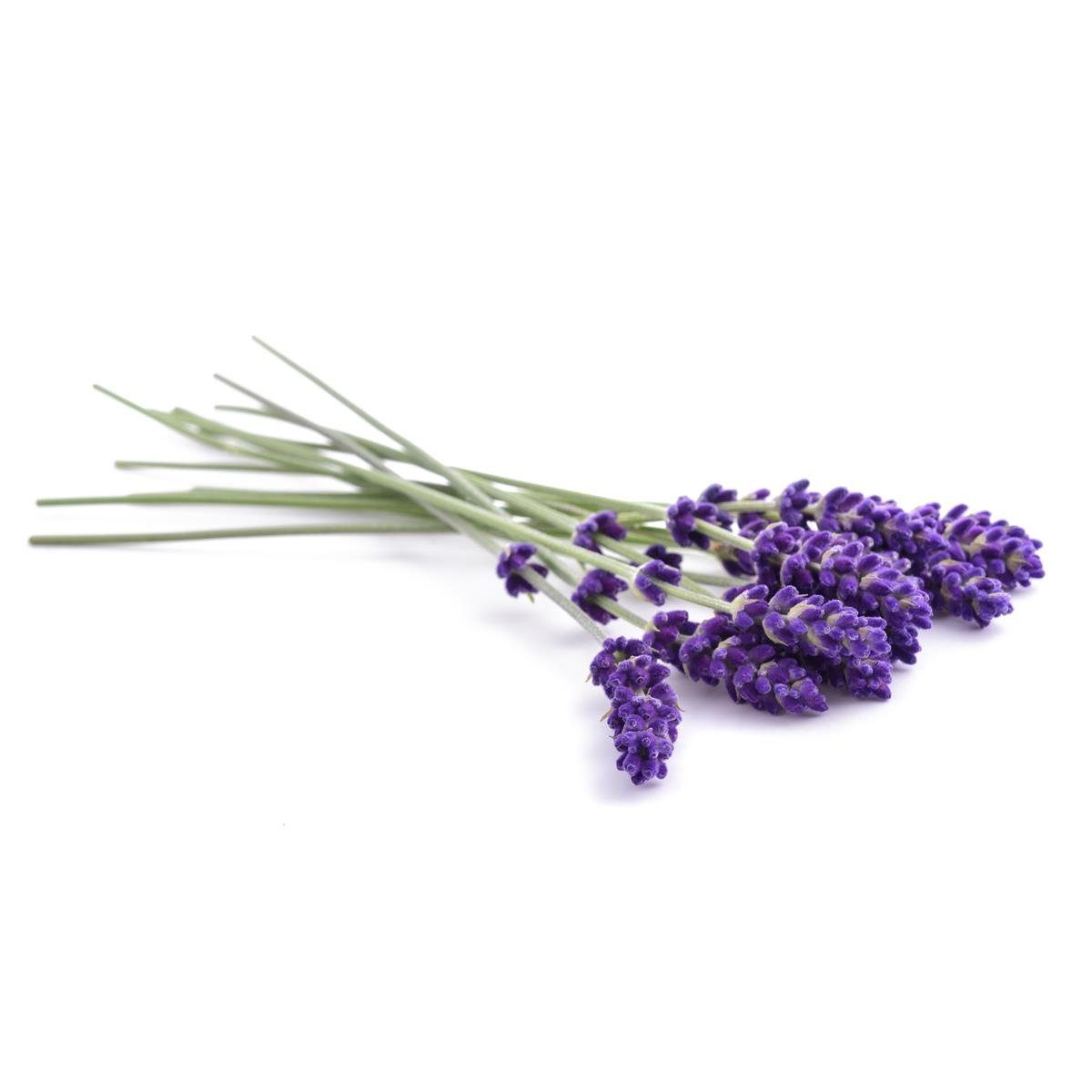 IPURO Raumduft Ipuro Essentials Raumspray lavender touch 120ml - Raumduft (1er Pack)