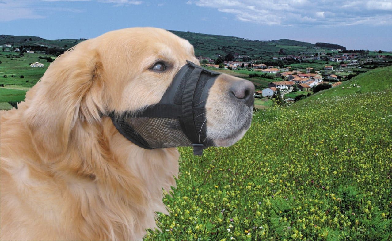 Nobby Maulkorb Nobby Hundemaulkorb M schwarz, Nylon