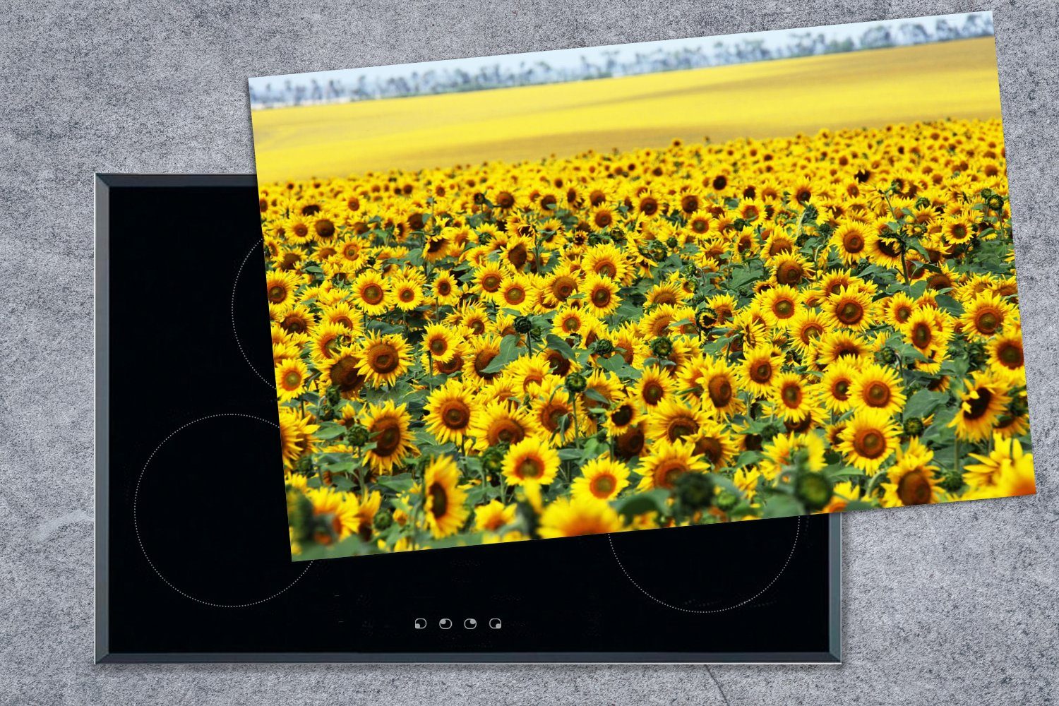 Ceranfeldabdeckung für cm, tlg), die küche, MuchoWow Vinyl, 80x52 Induktionskochfeld Sonnenblume Natur, Herdblende-/Abdeckplatte - Blumen (1 - Schutz