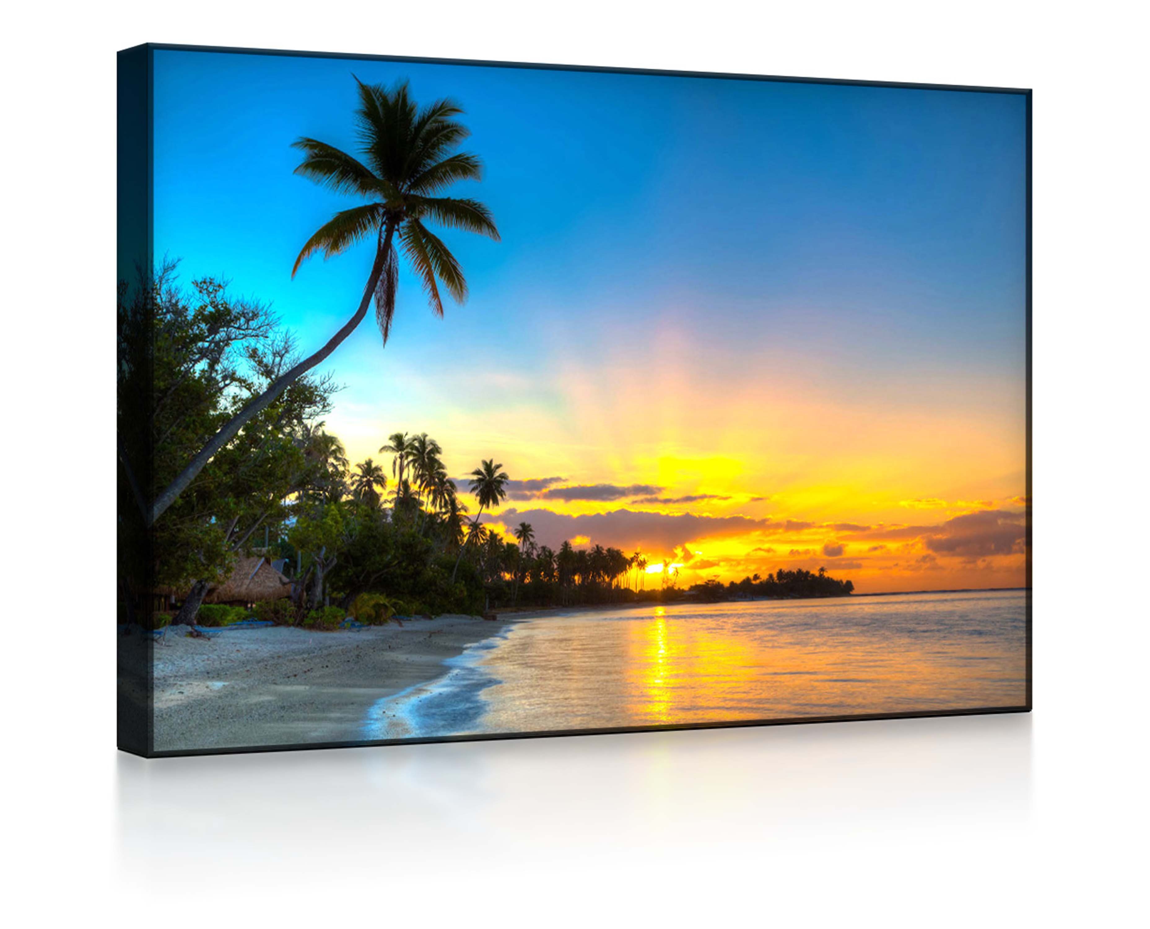lightbox-multicolor LED-Bild Palmen am Strand front lighted / 60x40cm, Leuc günstig online kaufen