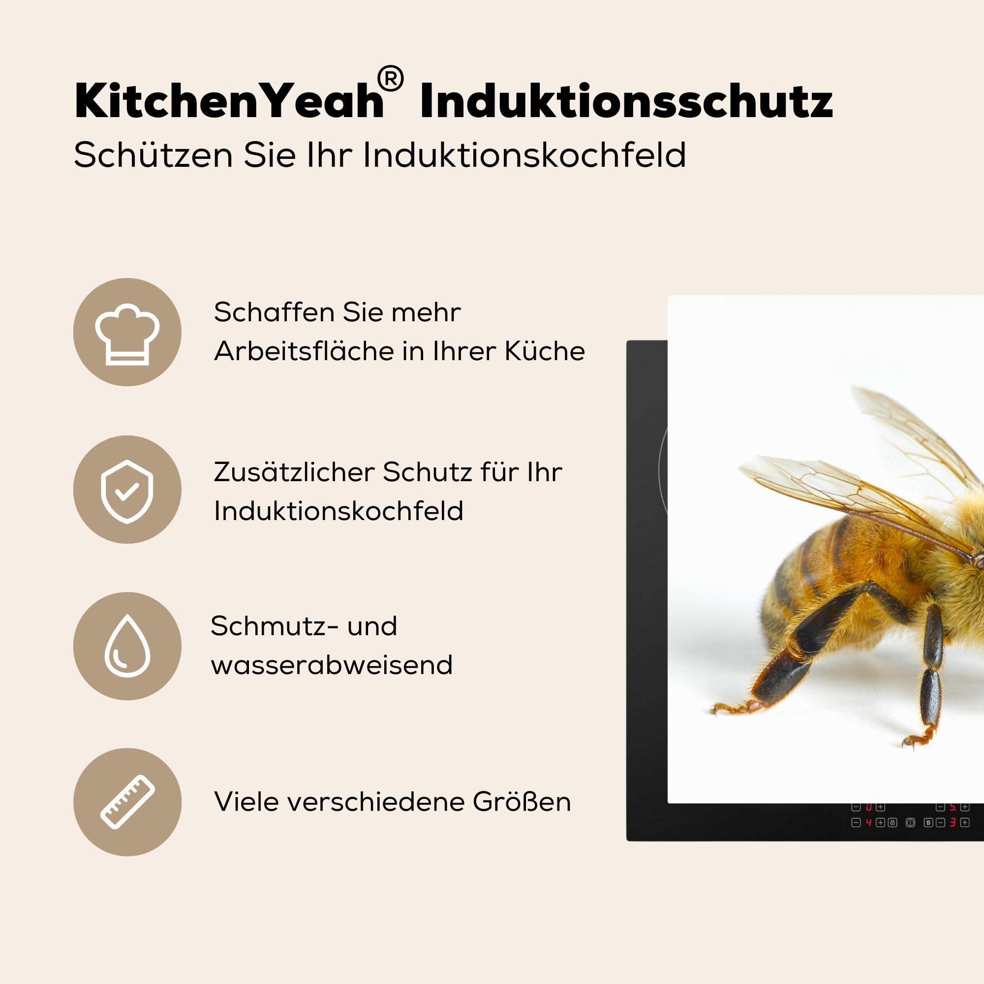 (1 die küche, Bienen Insekten Induktionsmatte Vinyl, für - Ceranfeldabdeckung Herdblende-/Abdeckplatte - tlg), MuchoWow 59x52 cm, Flügel,