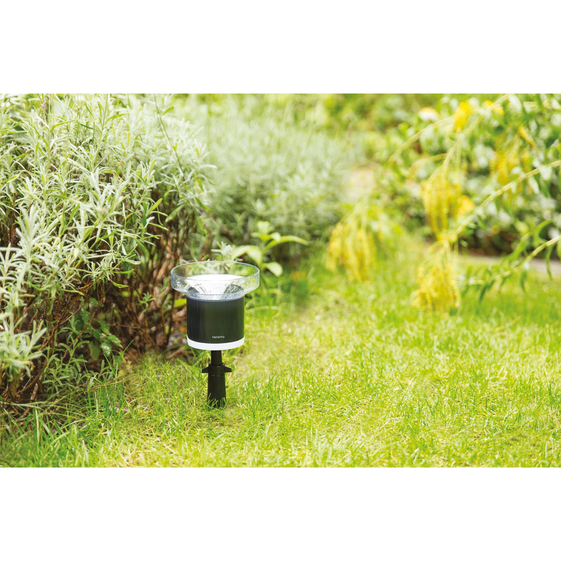 Netatmo NETATMO Regenmesser NRG01-WW Regenmesser