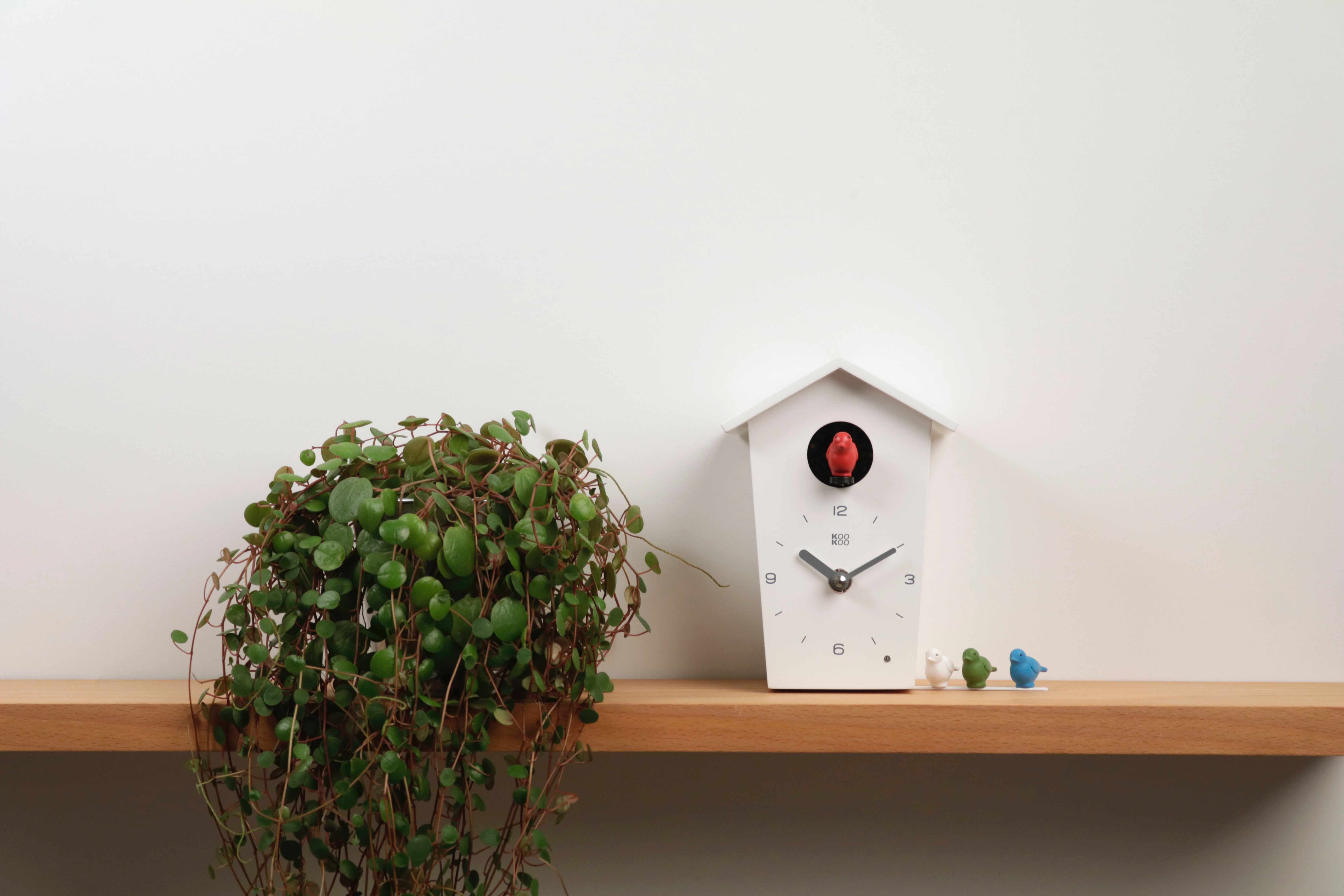 KOOKOO Tischuhr BirdHouse mini