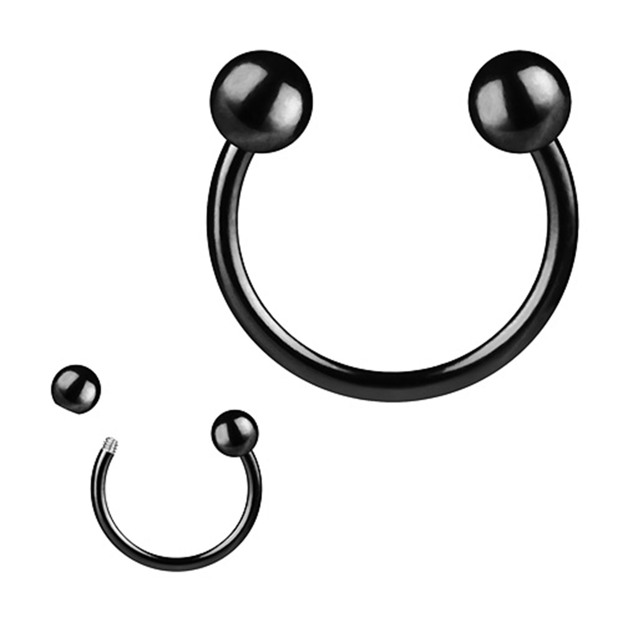 Taffstyle Nasenpiercing Hufesien Piercing Chirurgenstahl Lippe Helix Intim mit Kugeln (Universal Piercing Ring Horseshoe Nippel Lippe Nase Septum Tragus Ohr Hel – Bild 2 von 3