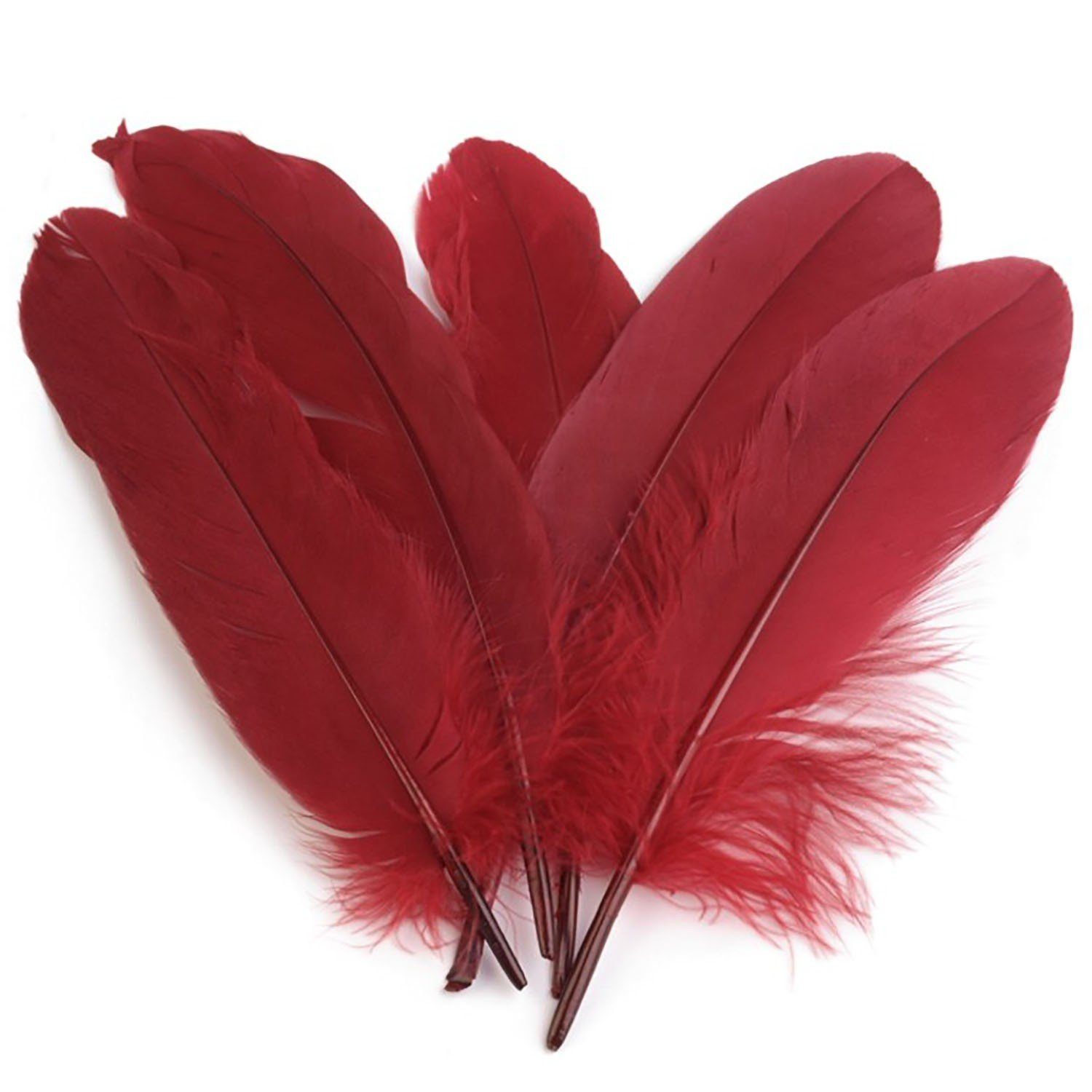 maDDma Bastelfedern 20 Enten-Federn 15-21cm Bastelfedern Federn f. Basteln Dekoration, (1 Packung 1-tlg), bordeaux