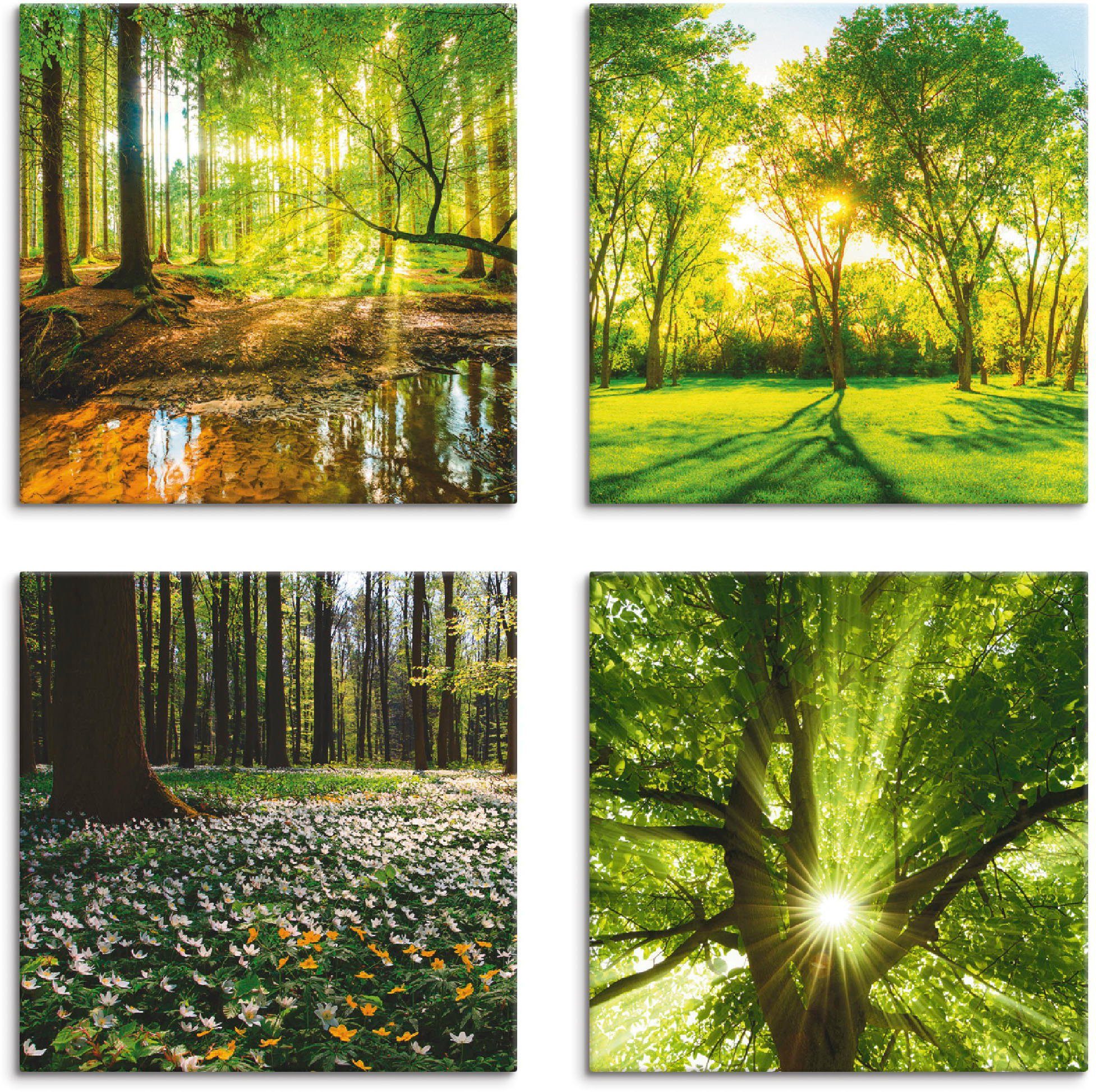 Artland Leinwandbild Wald Bach Set, Frühling 4er St), Wald Baum, Windrosen (4 verschiedene Größen Sonne