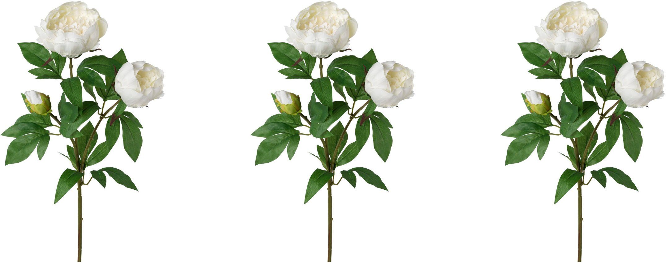 Kunstblume Peonienzweig