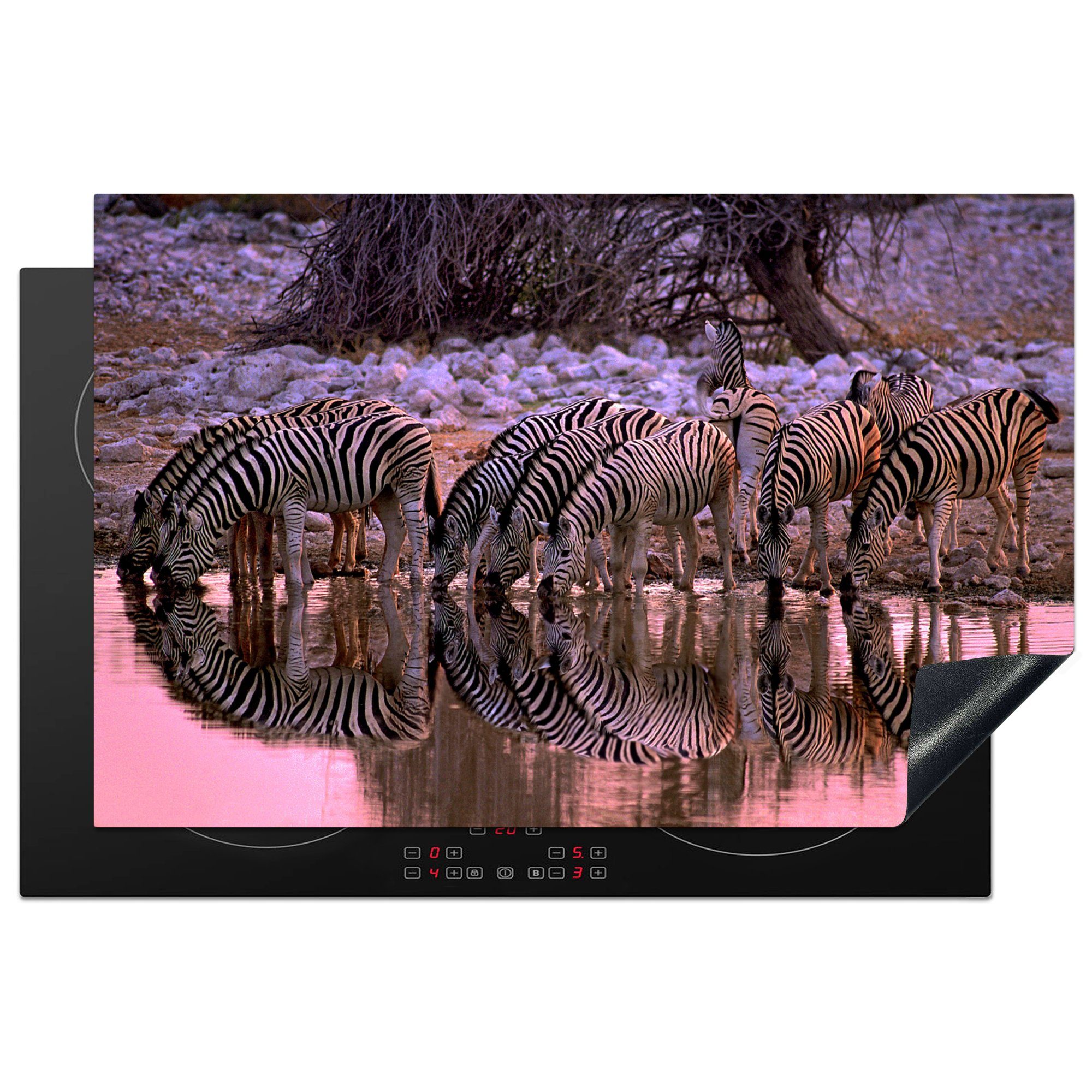 MuchoWow Herdblende-/Abdeckplatte Trinkende Zebras, Vinyl, (1 tlg), 81x52 cm, Induktionskochfeld Schutz für die küche, Ceranfeldabdeckung