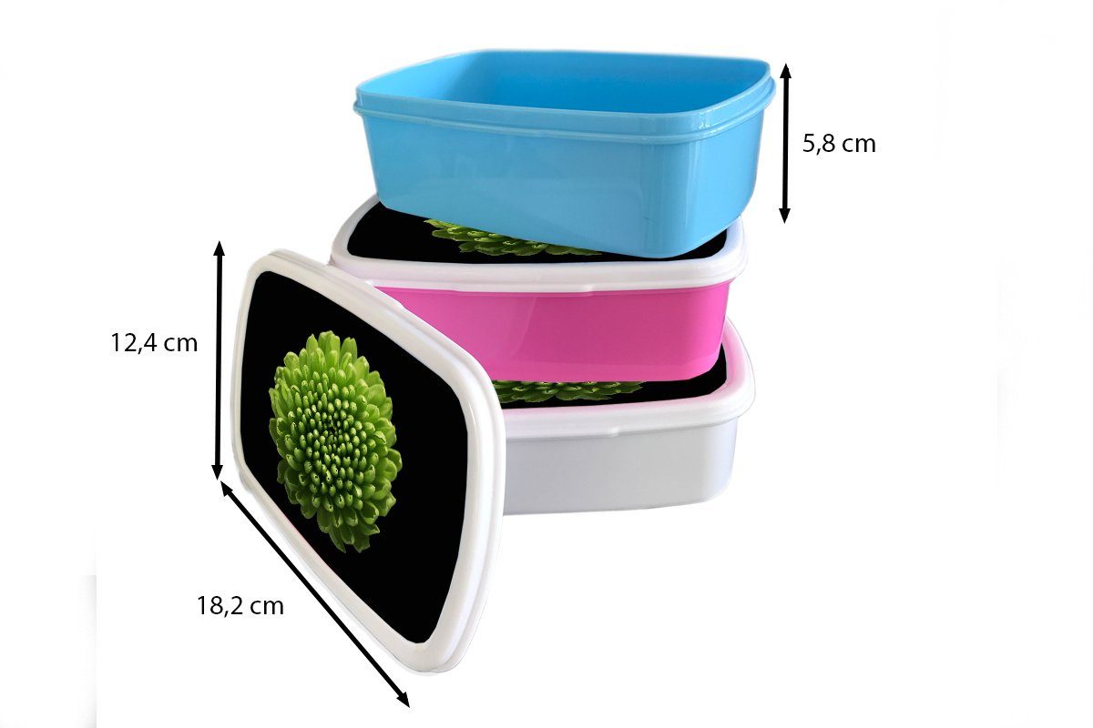 MuchoWow Brotdose, für Erwachsene, Chrysanthemenblüte und schwarzem Jungs und Kinder grüne Kunststoff, Mädchen weiß (2-tlg), auf für Eine Lunchbox Hintergrund, Brotbox