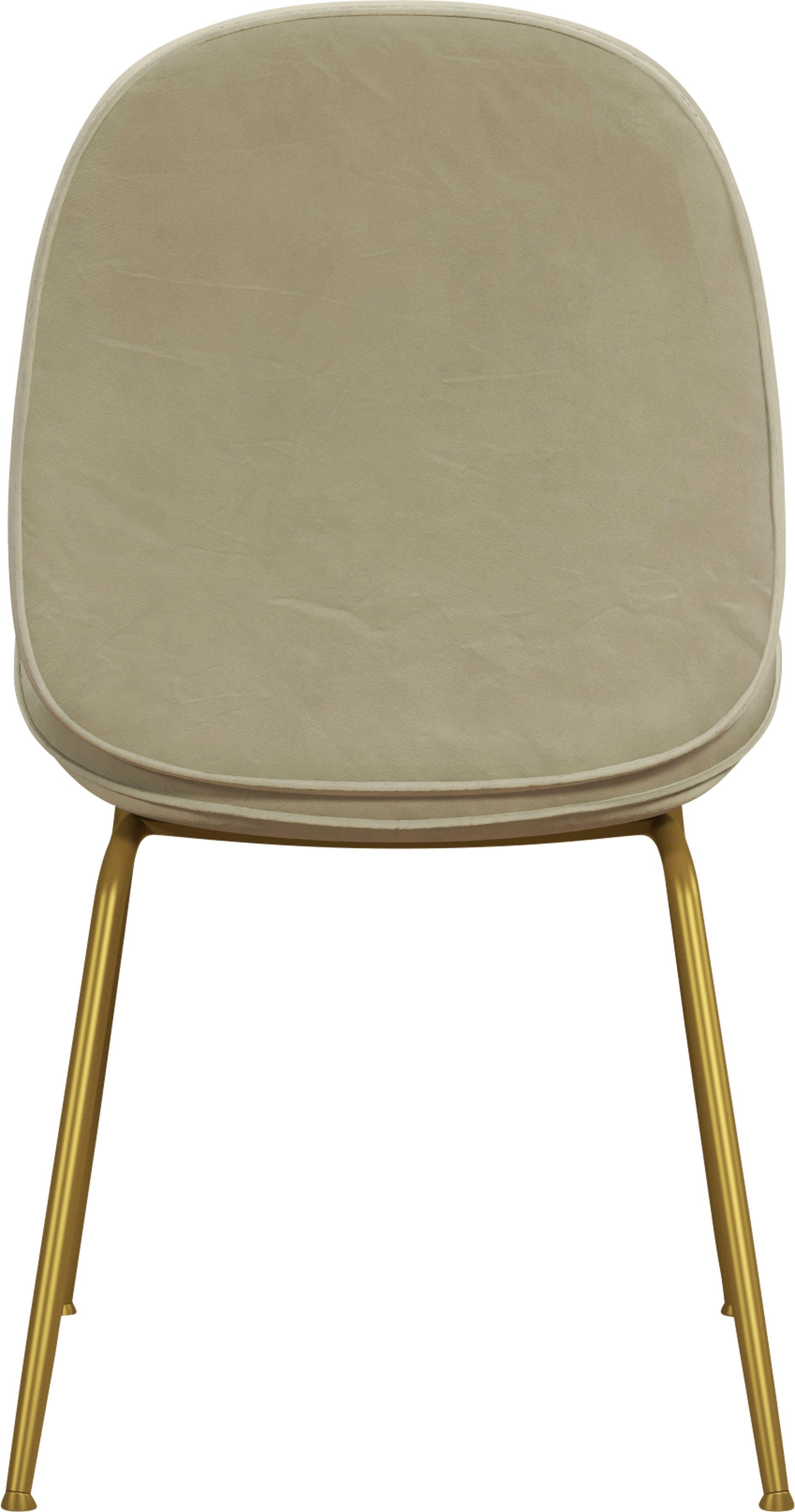 Rücken Sitz cremefarben (1 Gestell, messingfarbenenes Esszimmerstuhl gepolstert, Cosmopolitan Sitzhöhe Astor und by CosmoLiving St), 47 cm