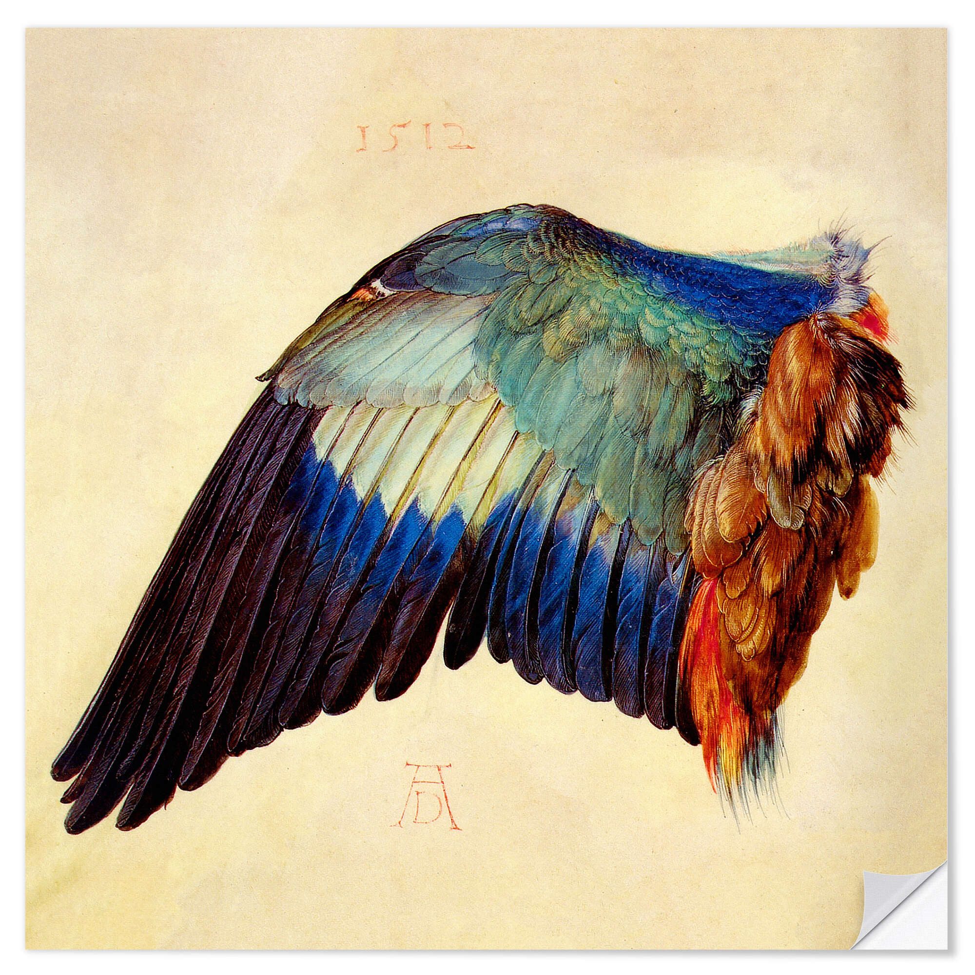 Wandfolie Albrecht Dürer