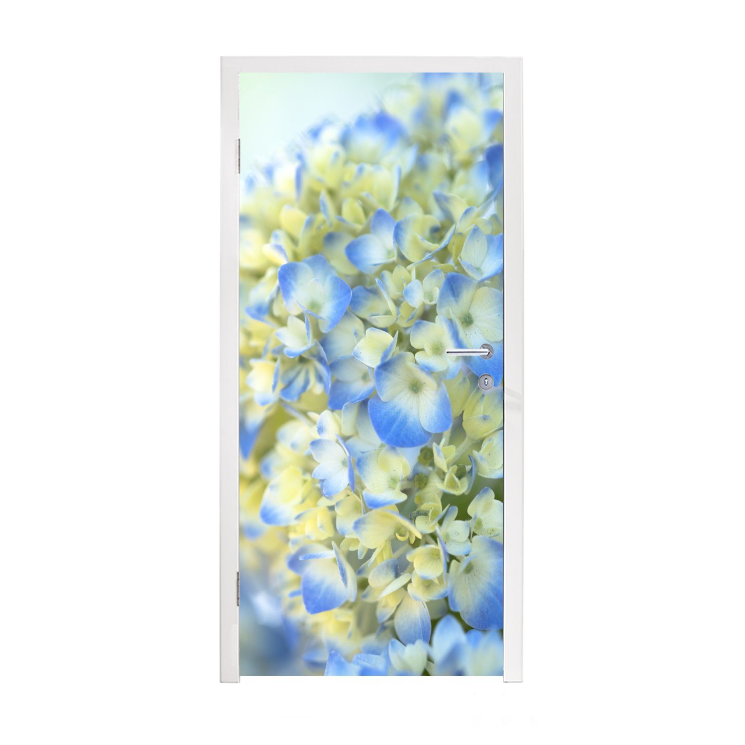 MuchoWow Türtapete Nahaufnahme einer hellblauen und gelben Hortensie, Matt, bedruckt, (1 St), Fototapete für Tür, Türaufkleber, 75x205 cm